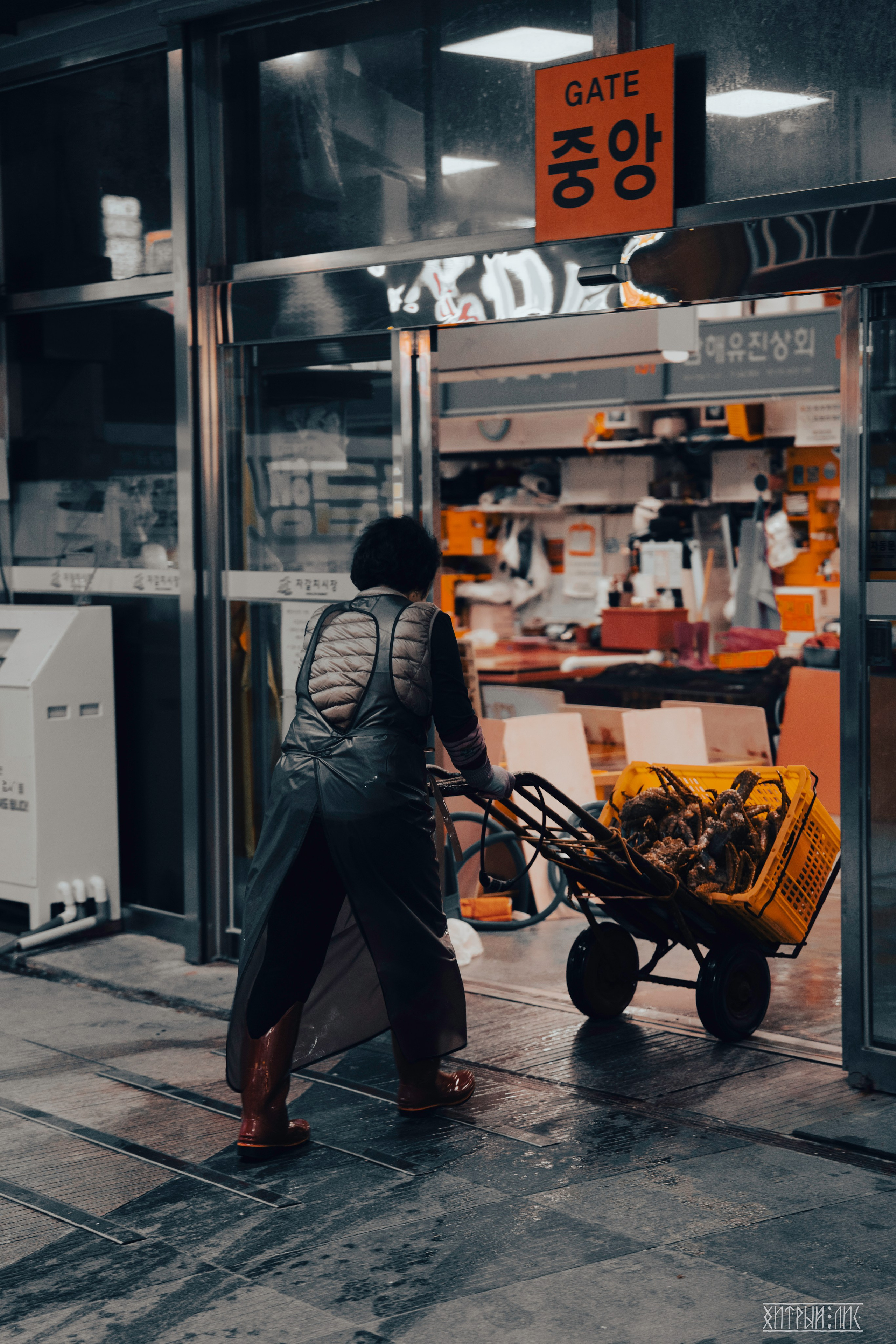 Южная Корея. Фотограф-путешественник Самойлов Максим «Sly Fox»