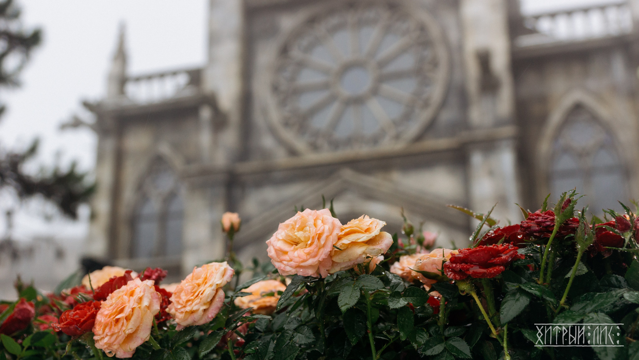 Вьетнам. Фотограф-путешественник Самойлов Максим «Sly Fox»