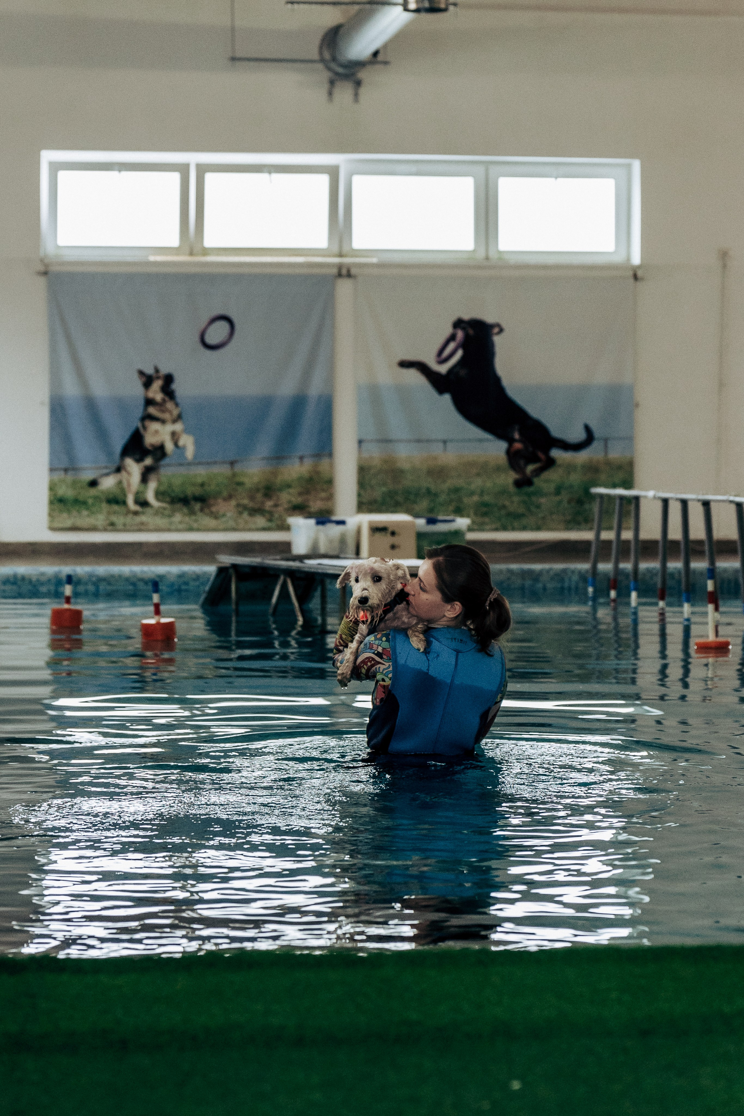 Репортажная фотосессия «День питомца-донора». Профессиональный фотограф в Санкт-Петербурге Александр Волосенцев