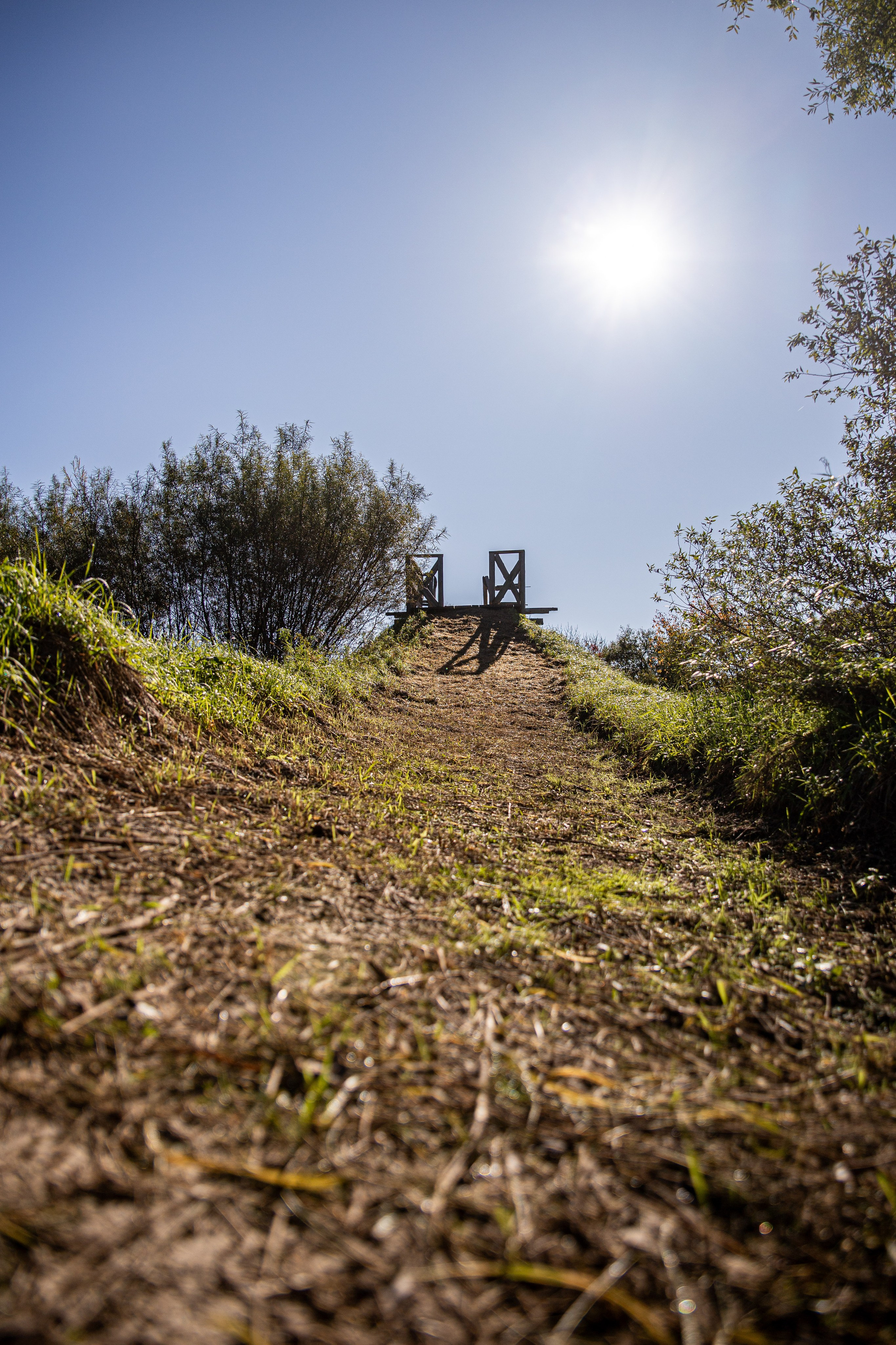 Dogtrail 2023. Уссурийск