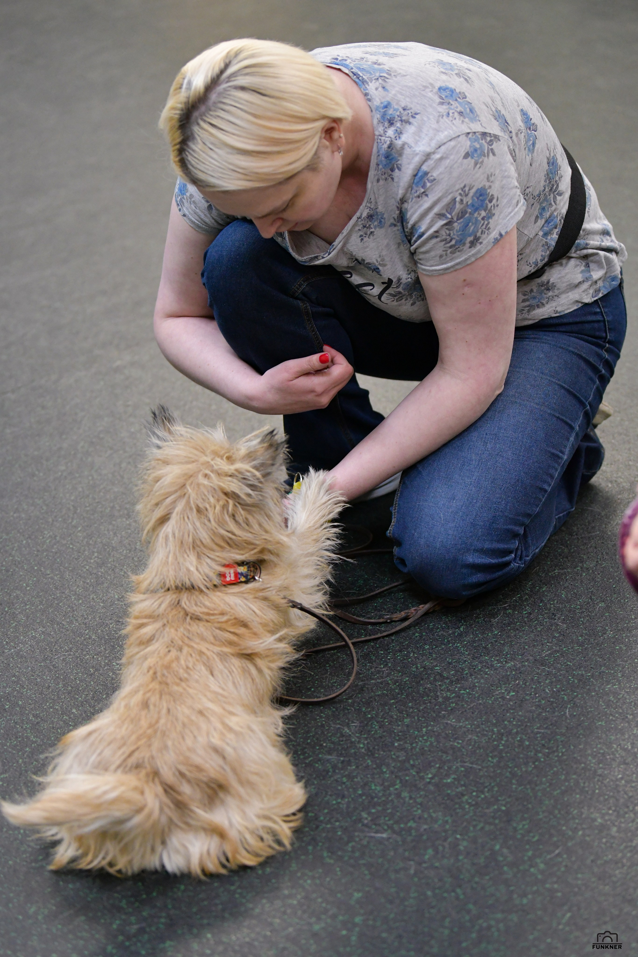 Кинологический клуб «Бодрый хвост». Свой взгляд через объектив