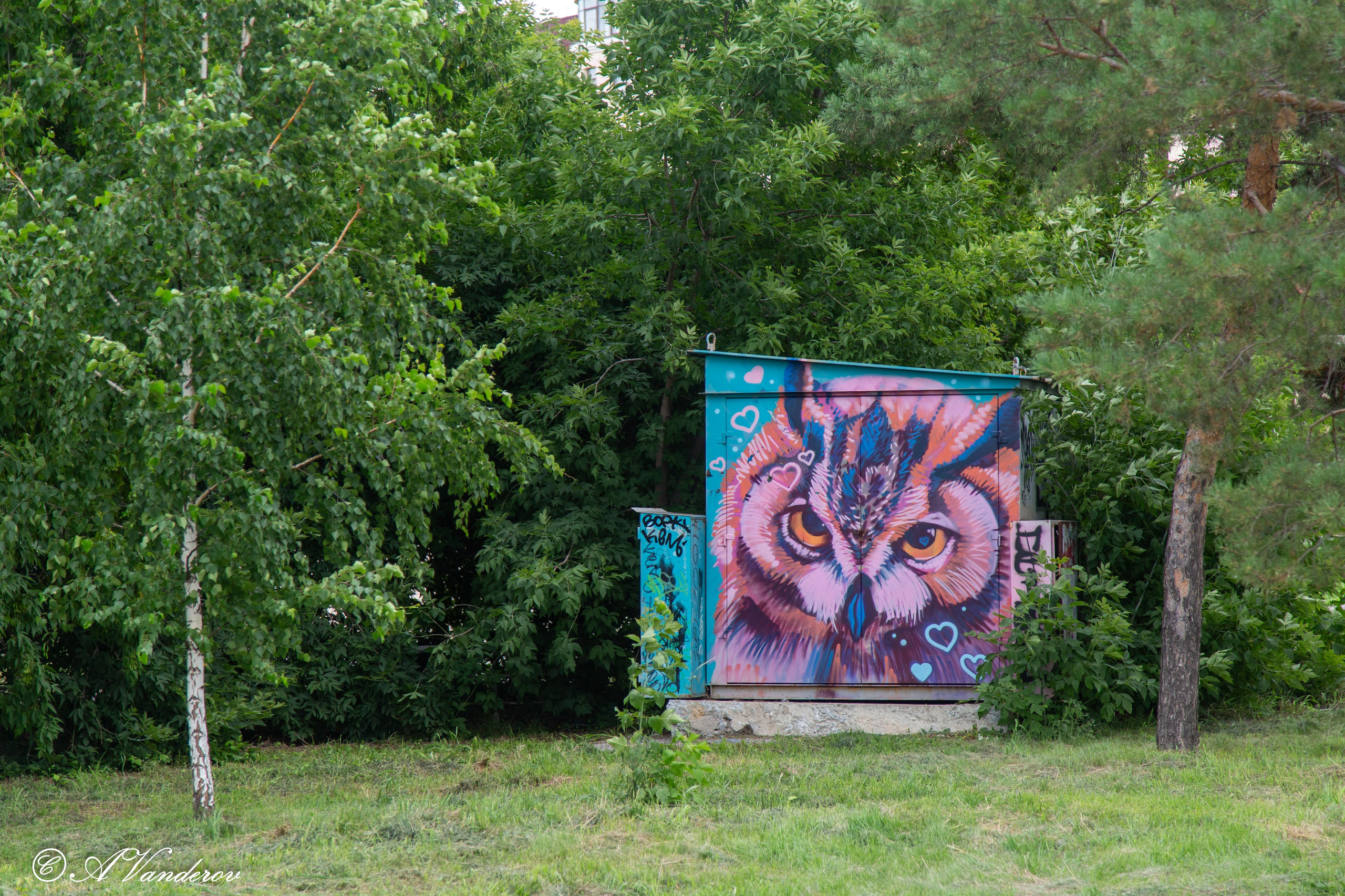 Омск 2024. Фотограф Омск | Александр Вандеров