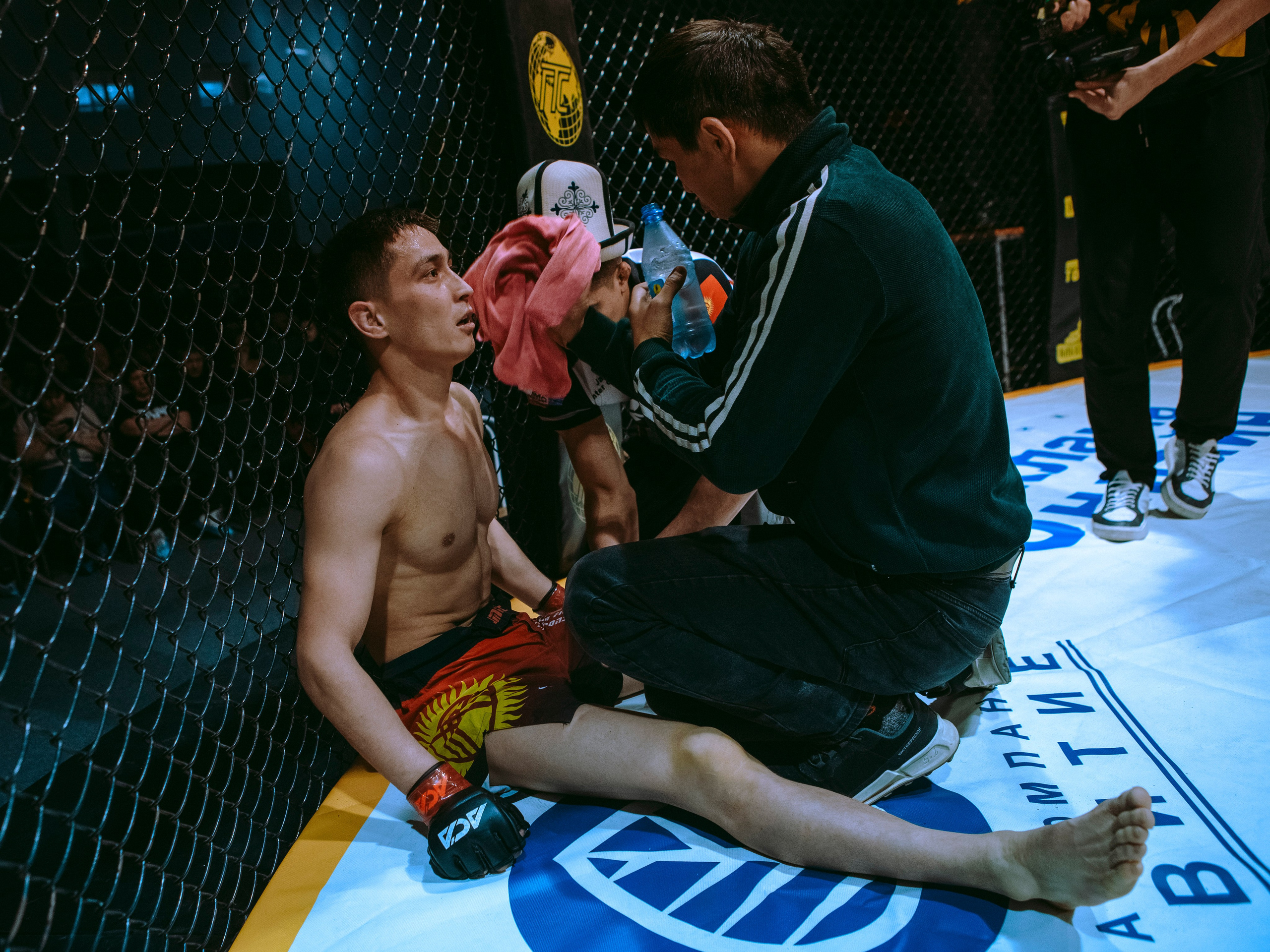 SFL 17 | Siberian Fighting League. Портретный фотограф в Москве Дарья Цезария