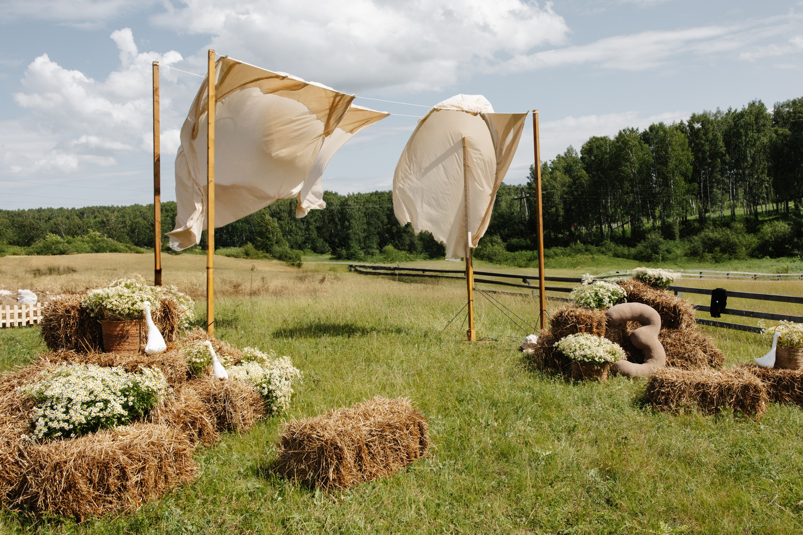 ГЕНДЕР ПАТИ. Фотограф в Красноярске