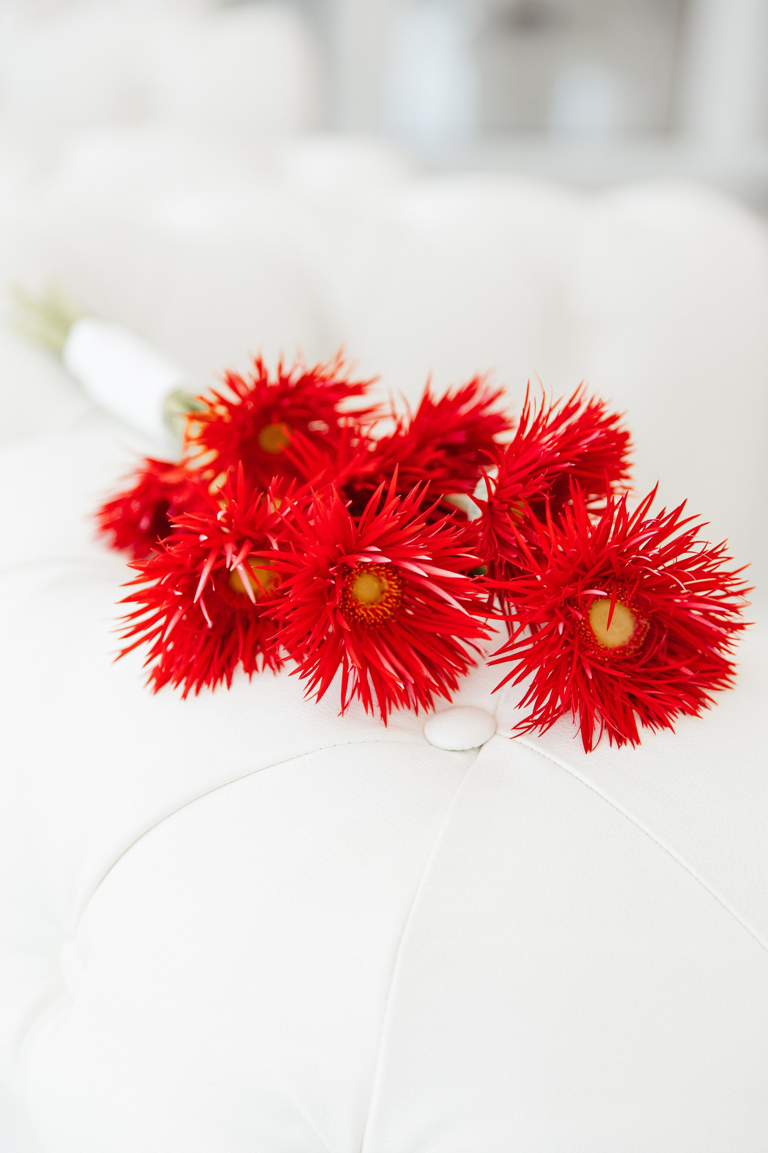 Елизавета и Леонид. Свадебный и семейный фотограф Егорова Юлия