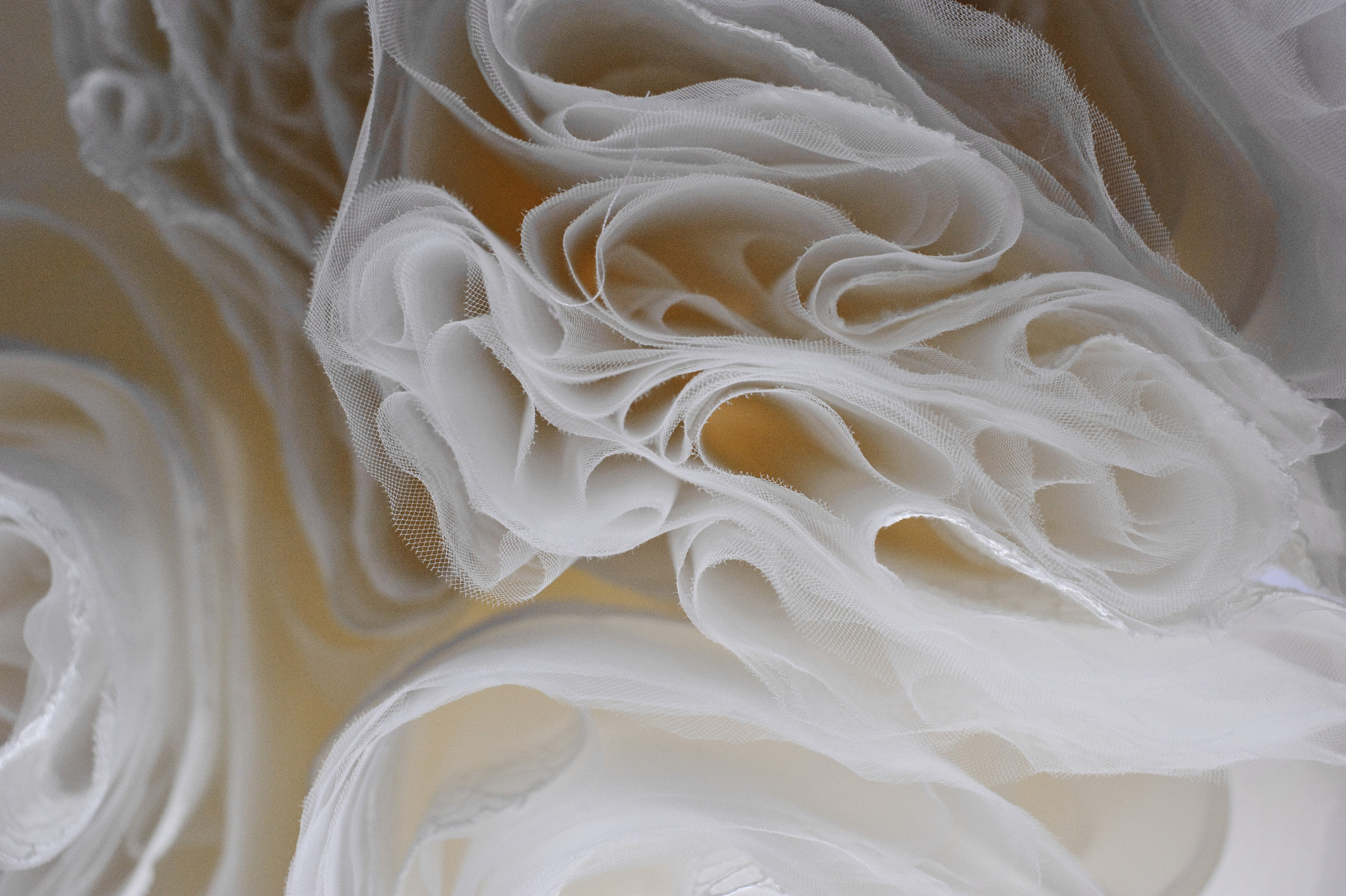 Анна и Максим. Свадьба, Королев. Семейный фотограф Анна Дубовская