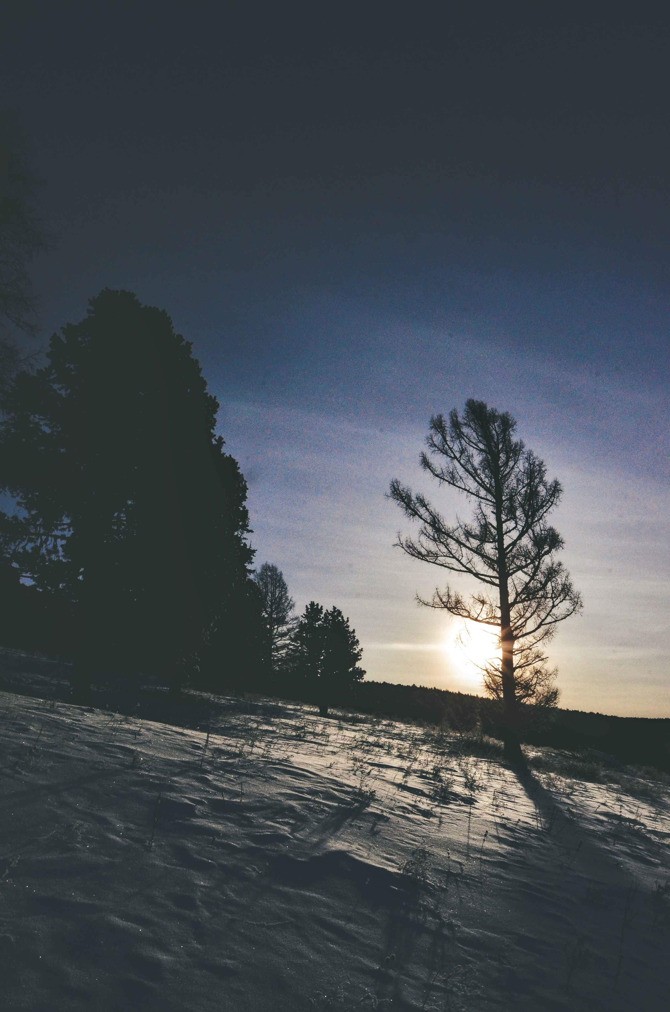 Алтай. Фотограф анималист, пейзажист, спортивные мероприятия. Новосибирск