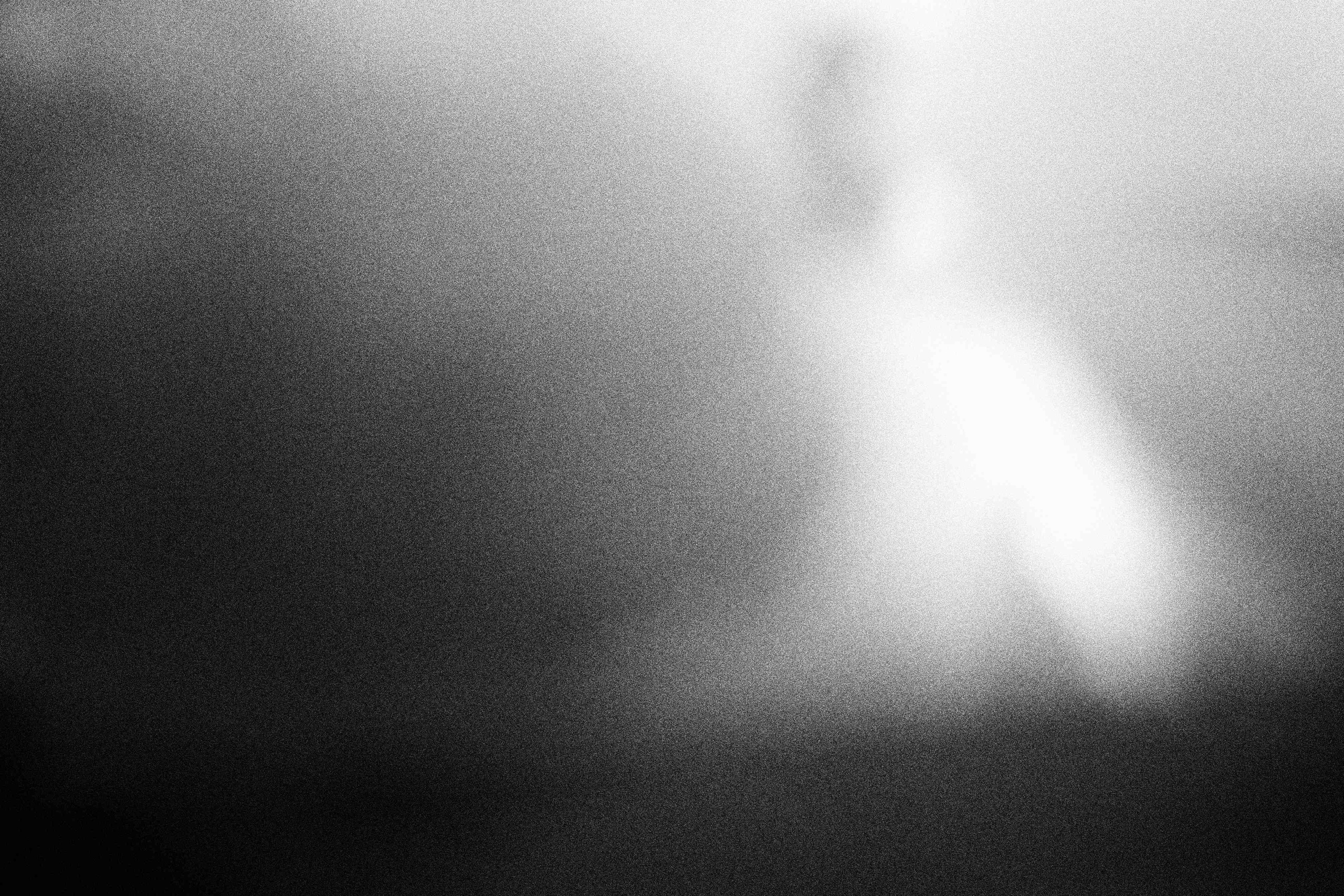 «Видеть. Чувствовать. Сохранять»