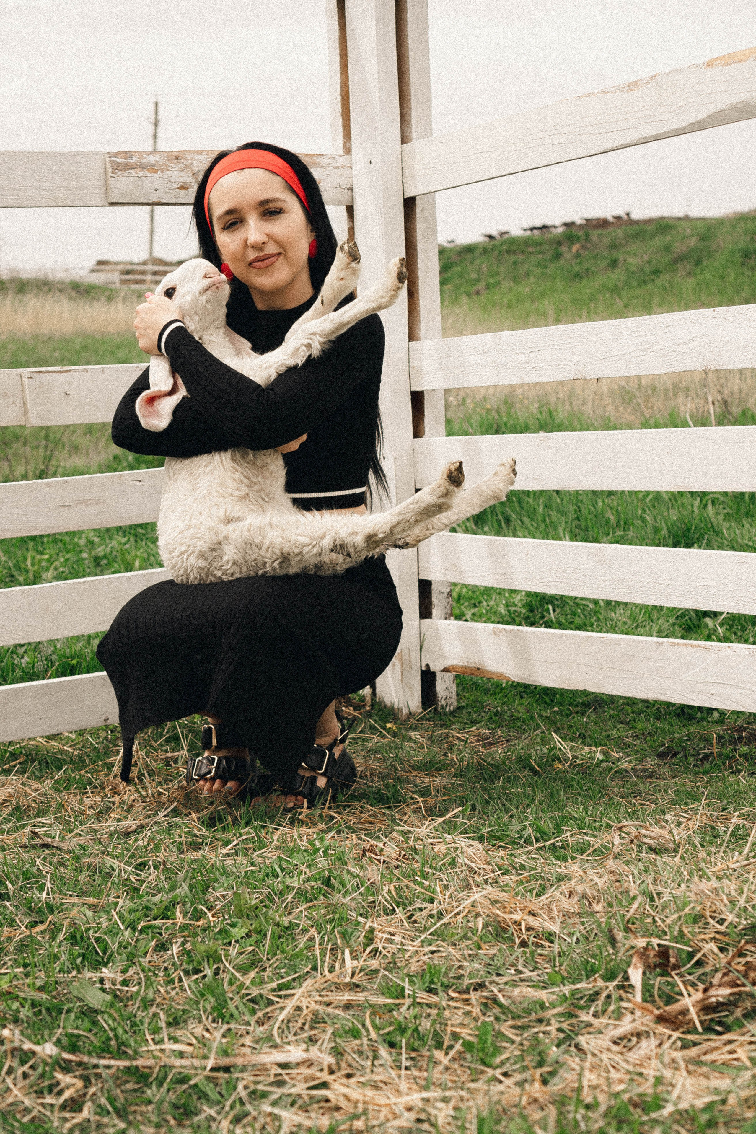 Ферма Альпак. Профессиональный фотограф, Санкт-Петербург — Виктория Богомолова