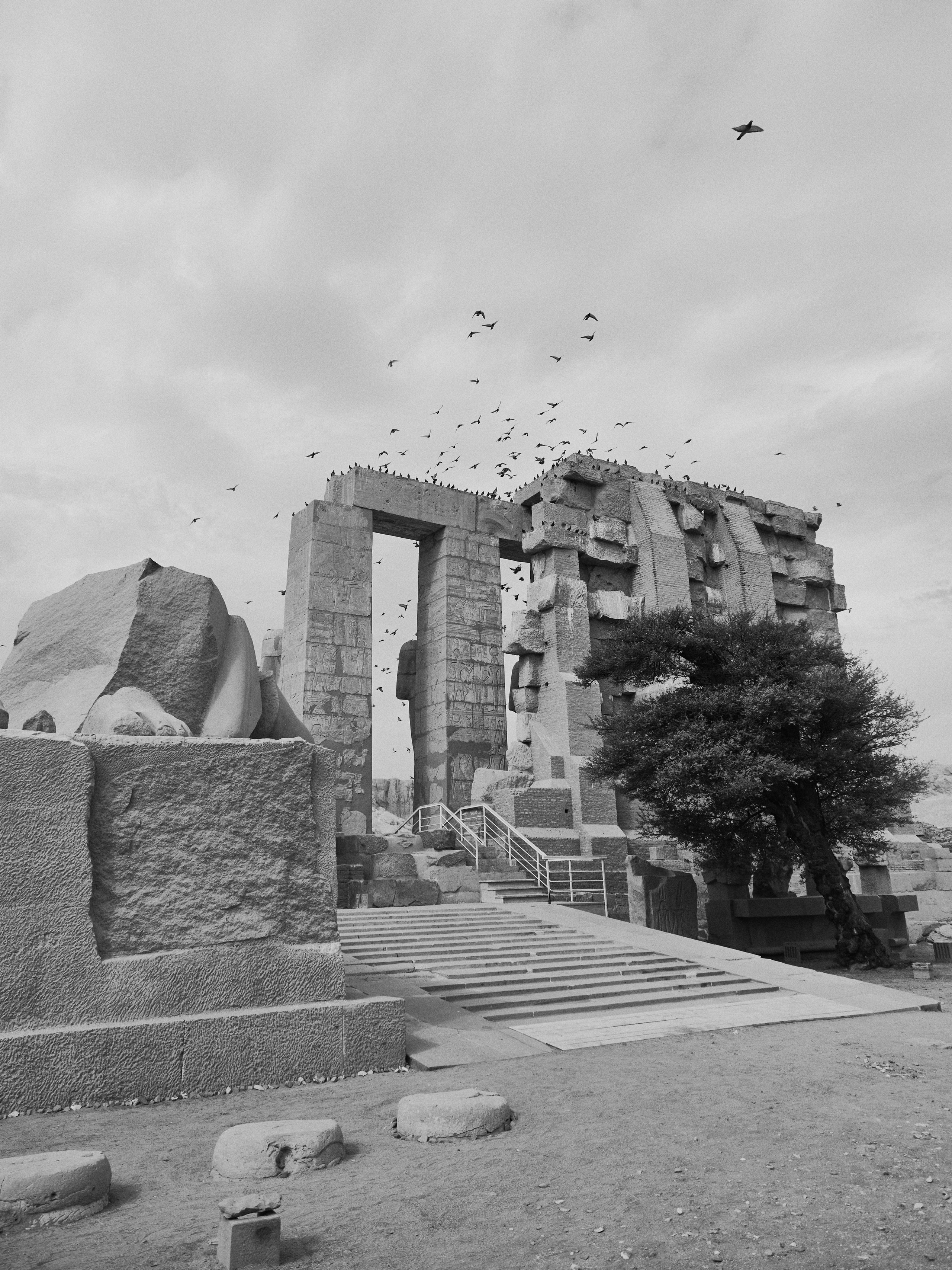 Другое 4. Jorgis — фотограф в Хургаде / обучение фотографии