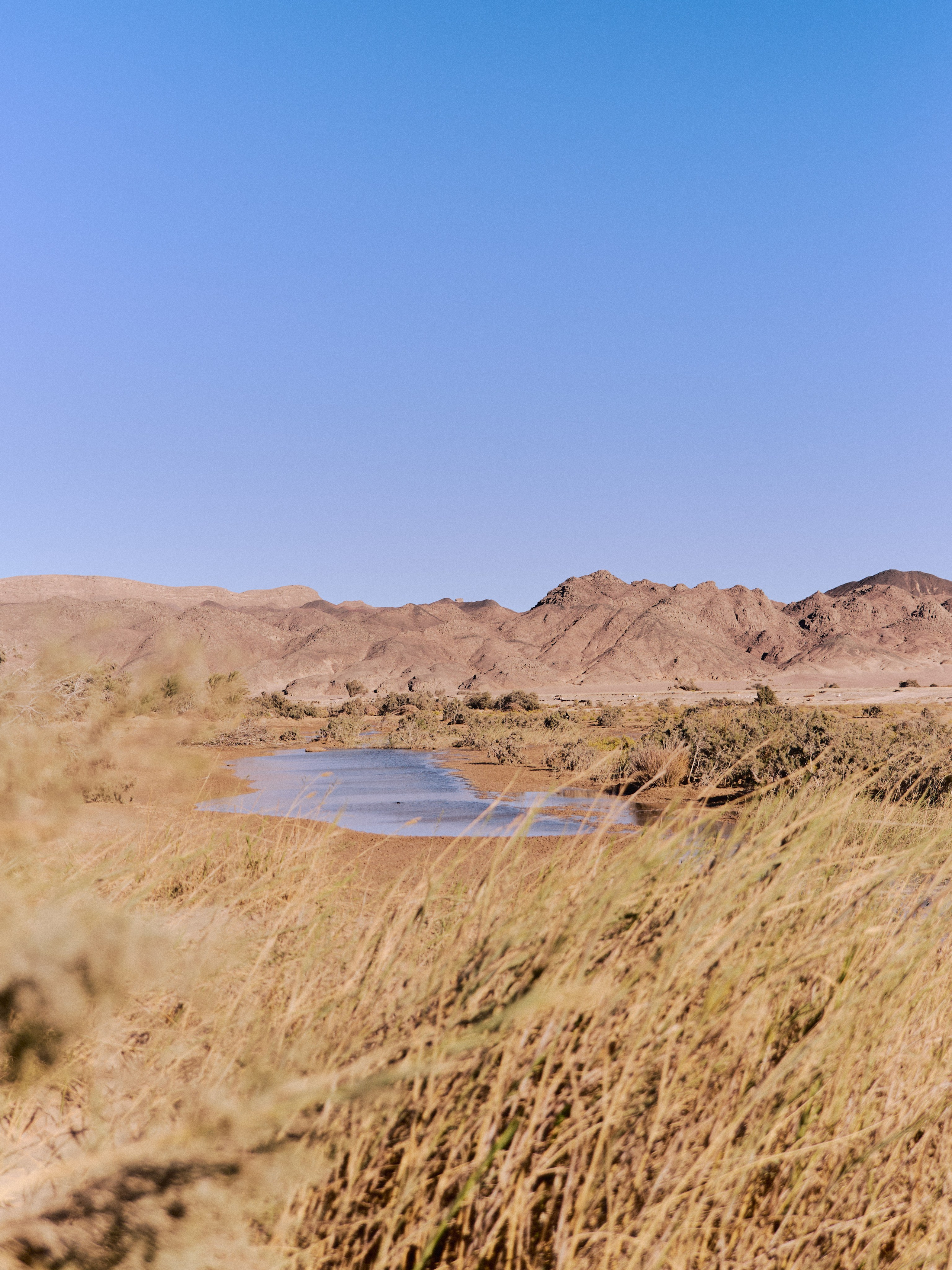 Природа. Jorgis Talè — photographer, kind person, teacher of arts and other mag