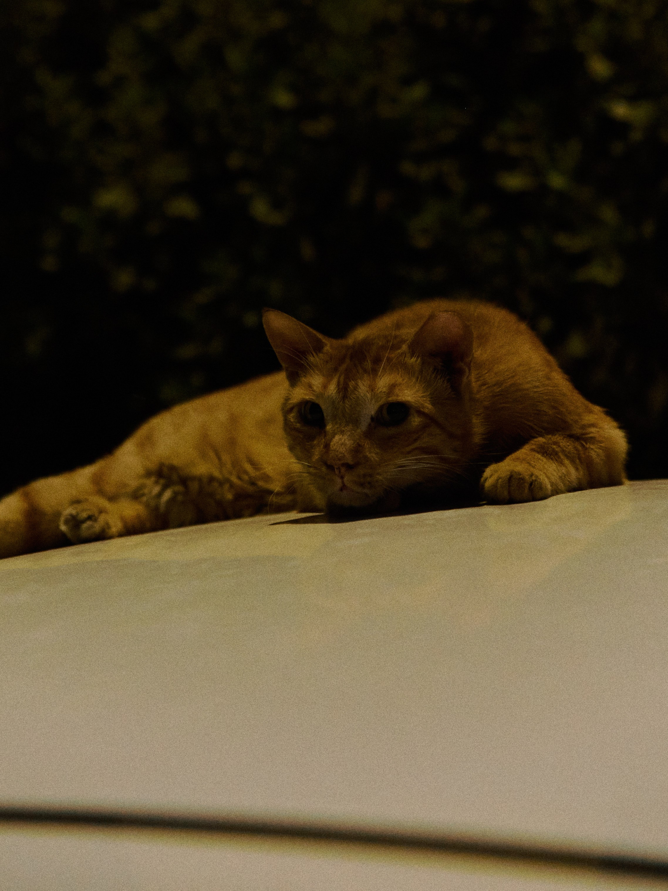 Другое 2. Jorgis Talè — photographer, kind person, teacher of arts and other mag