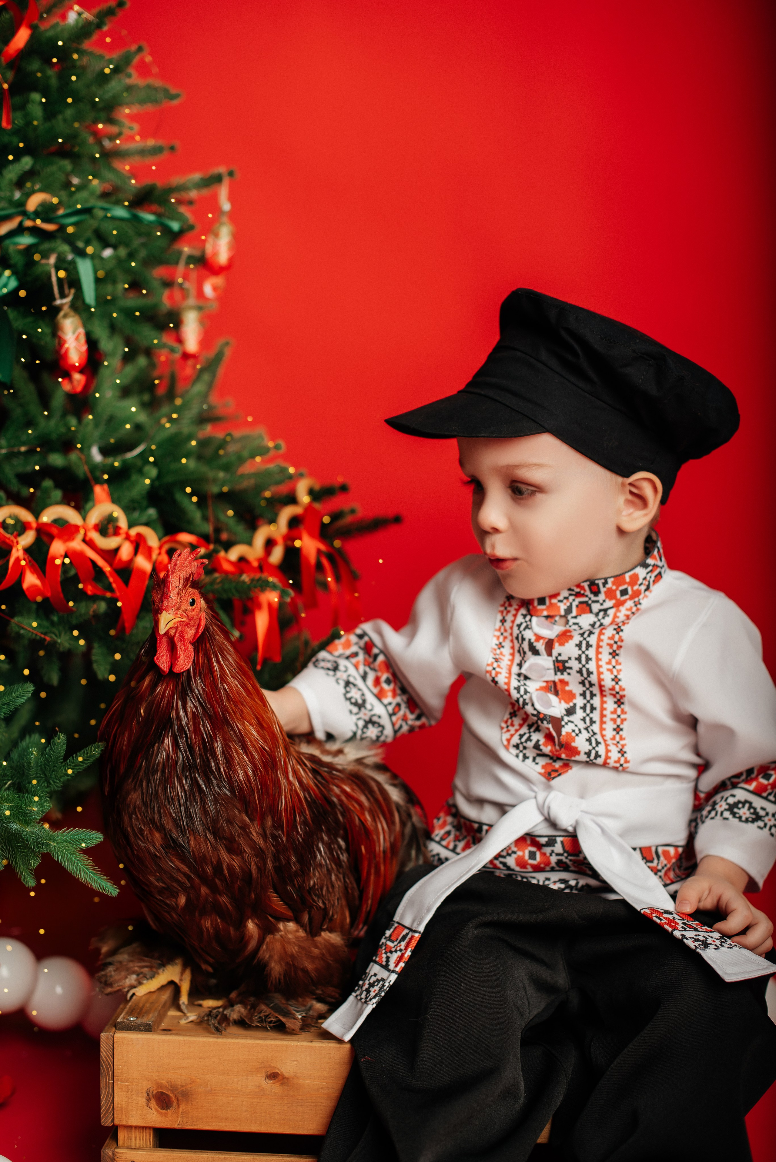 Новый год. Фотограф новорожденных и беременности Сергиев Посад Усачева Ирина