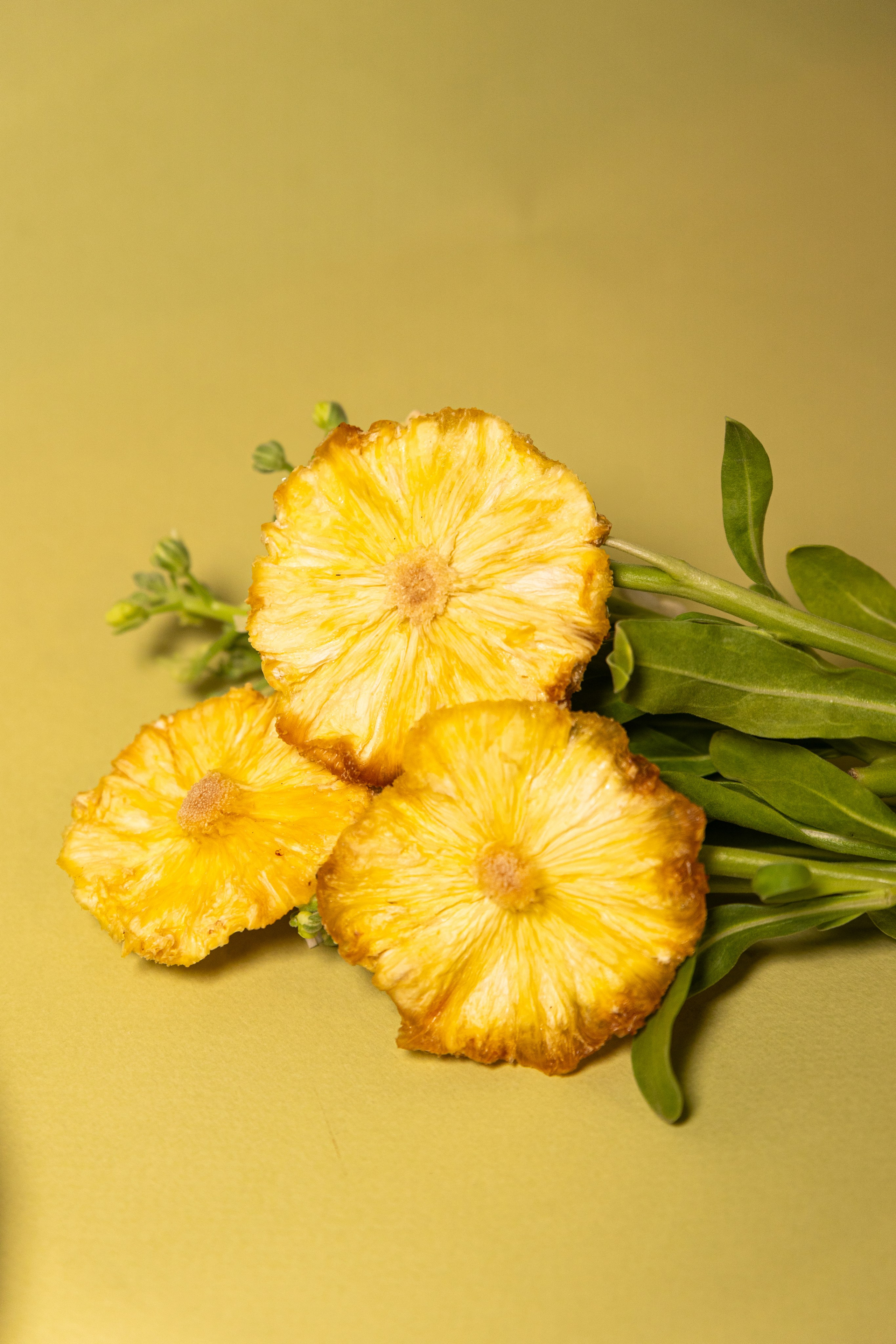 Еда и не только. Фотограф Ершова Светлана