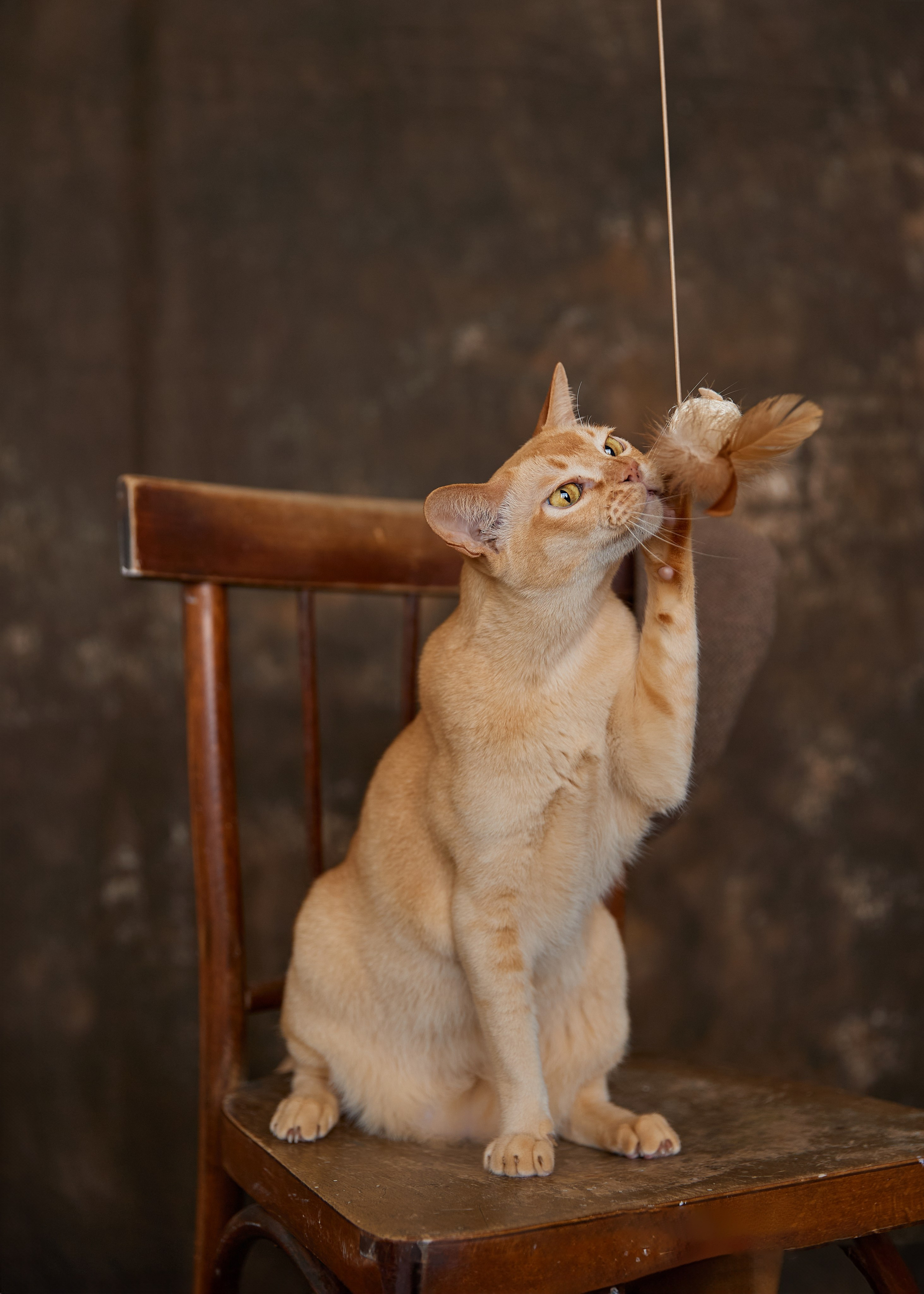 Полина. Фотограф женского портрета, беременности и материнства Харькова Елена