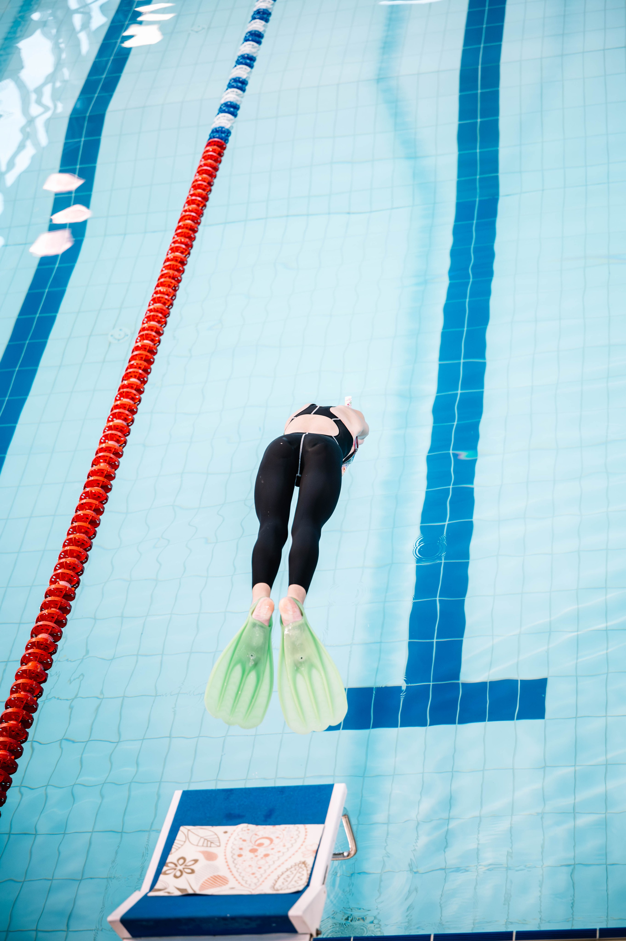 Первый этап кубка плавания, Дельфин. Октябрь, 2024. Спортивный фотограф в Туле и Тульской области. Файсханова Фото Спорт