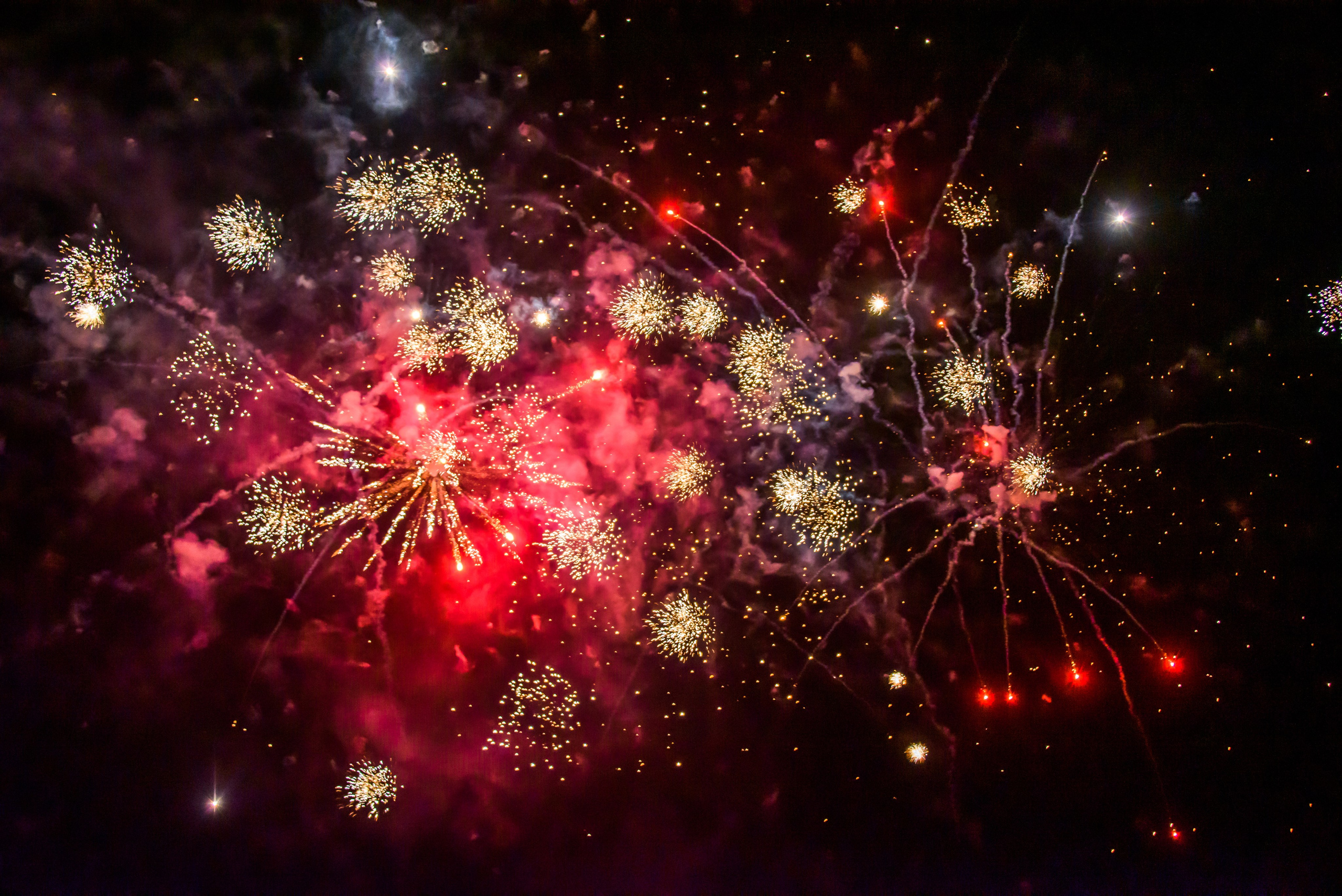 Свадьба. Фотосъёмка. Фотограф Сергей Авдеев-семейный и детский фотограф в Алматы