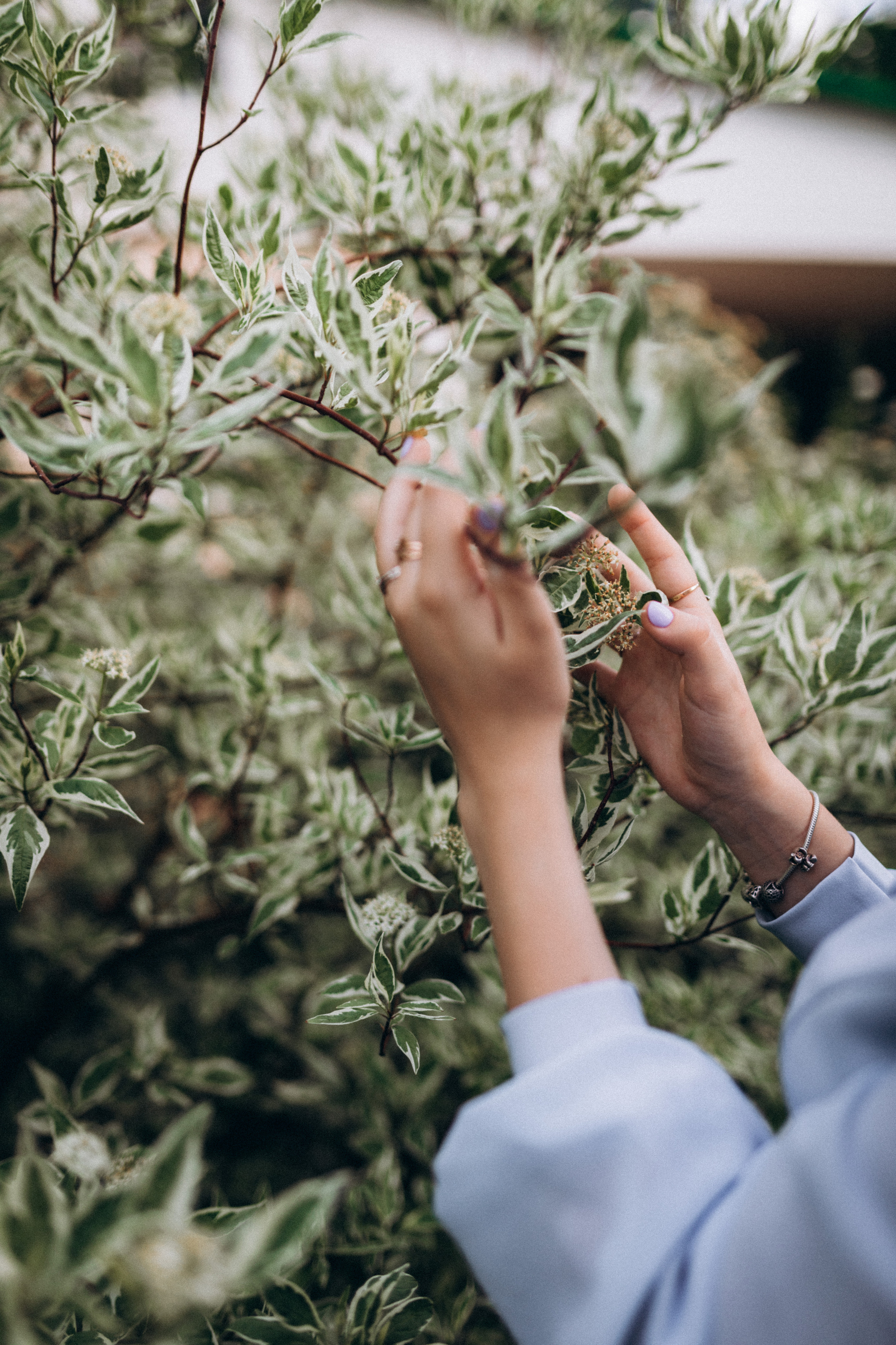 Elizabeth. Фотограф города Уральск Ольга Василец