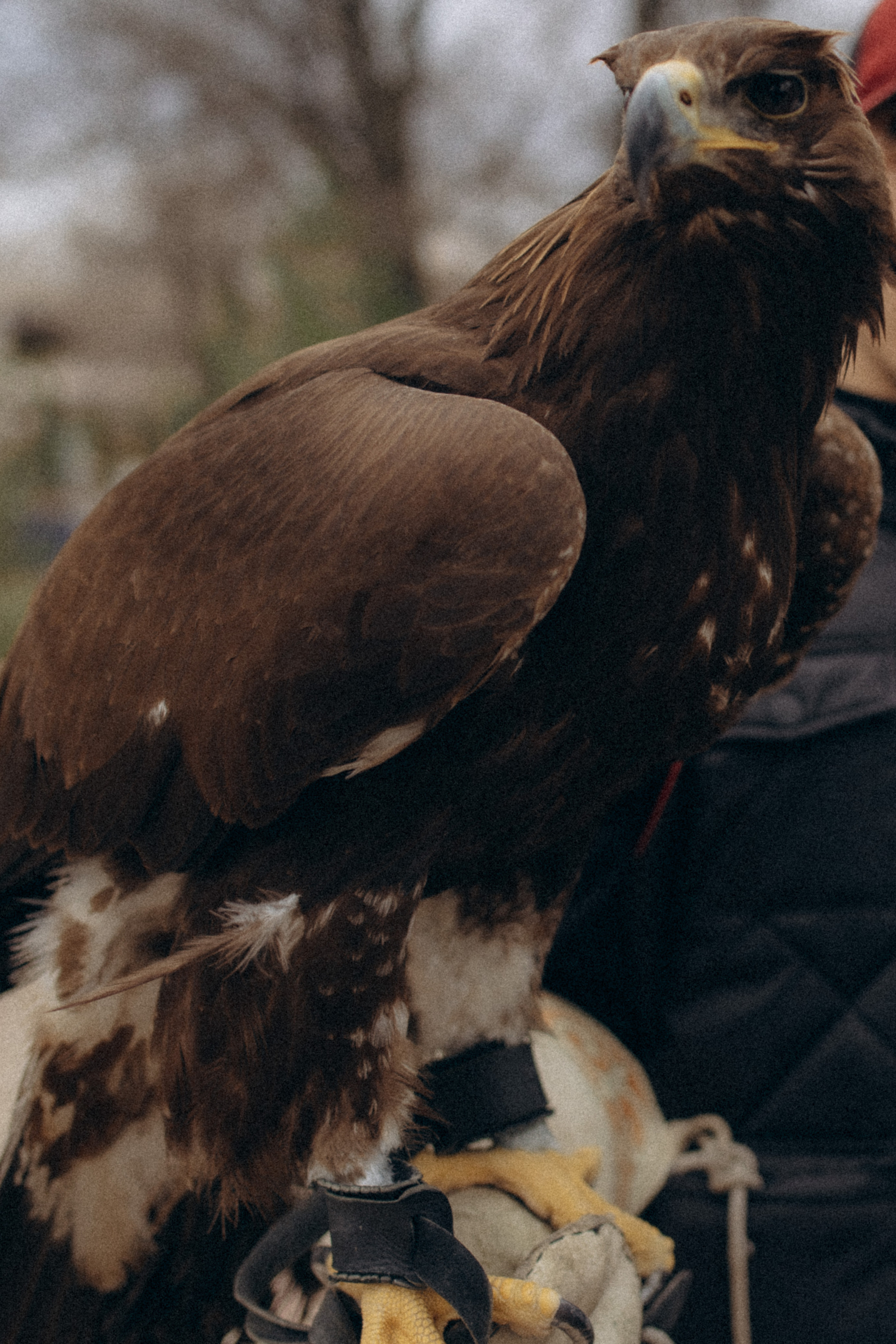 Olya&Raul. Фотограф города Уральск Ольга Василец