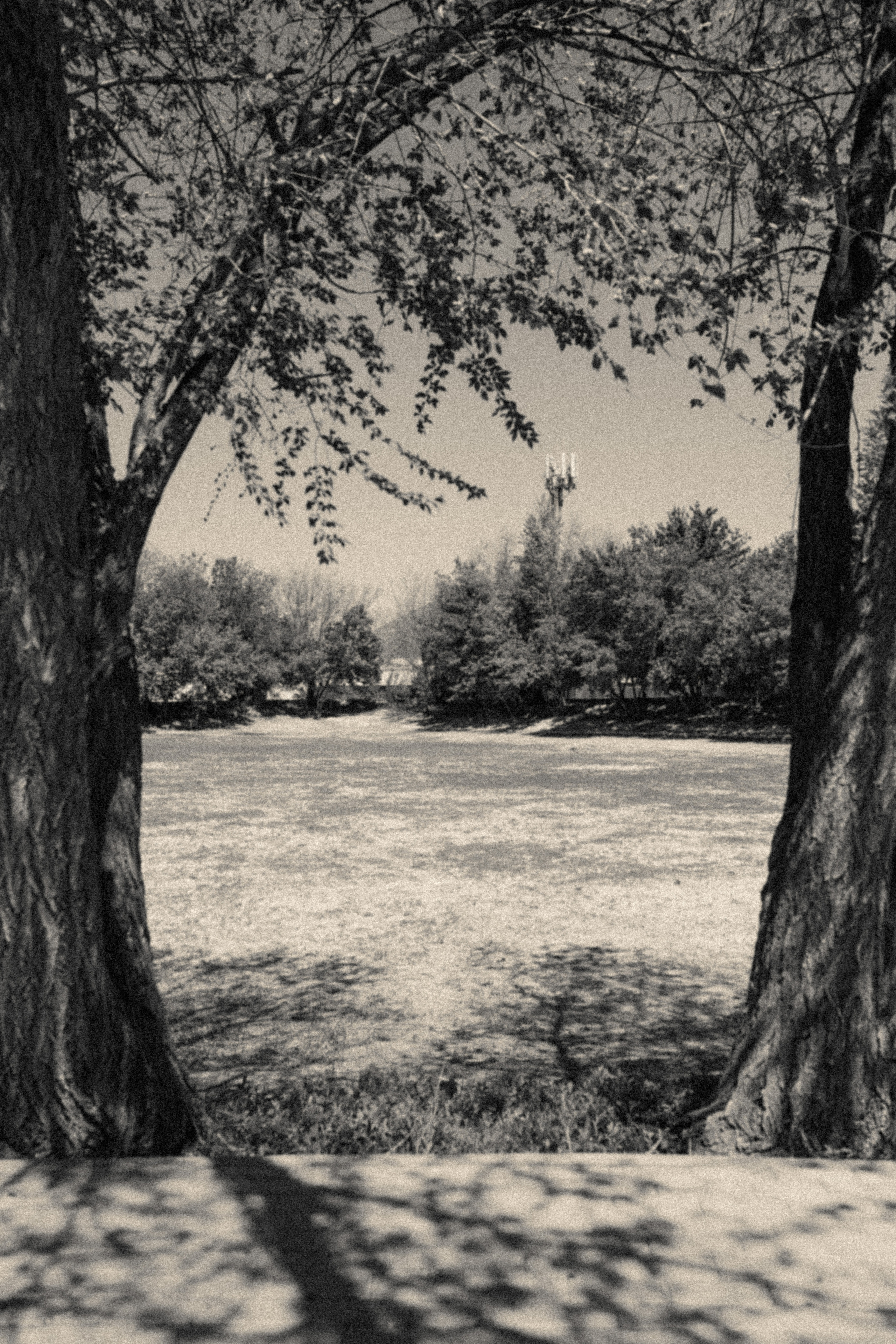 Julie&Andrew. Фотограф города Уральск Ольга Василец