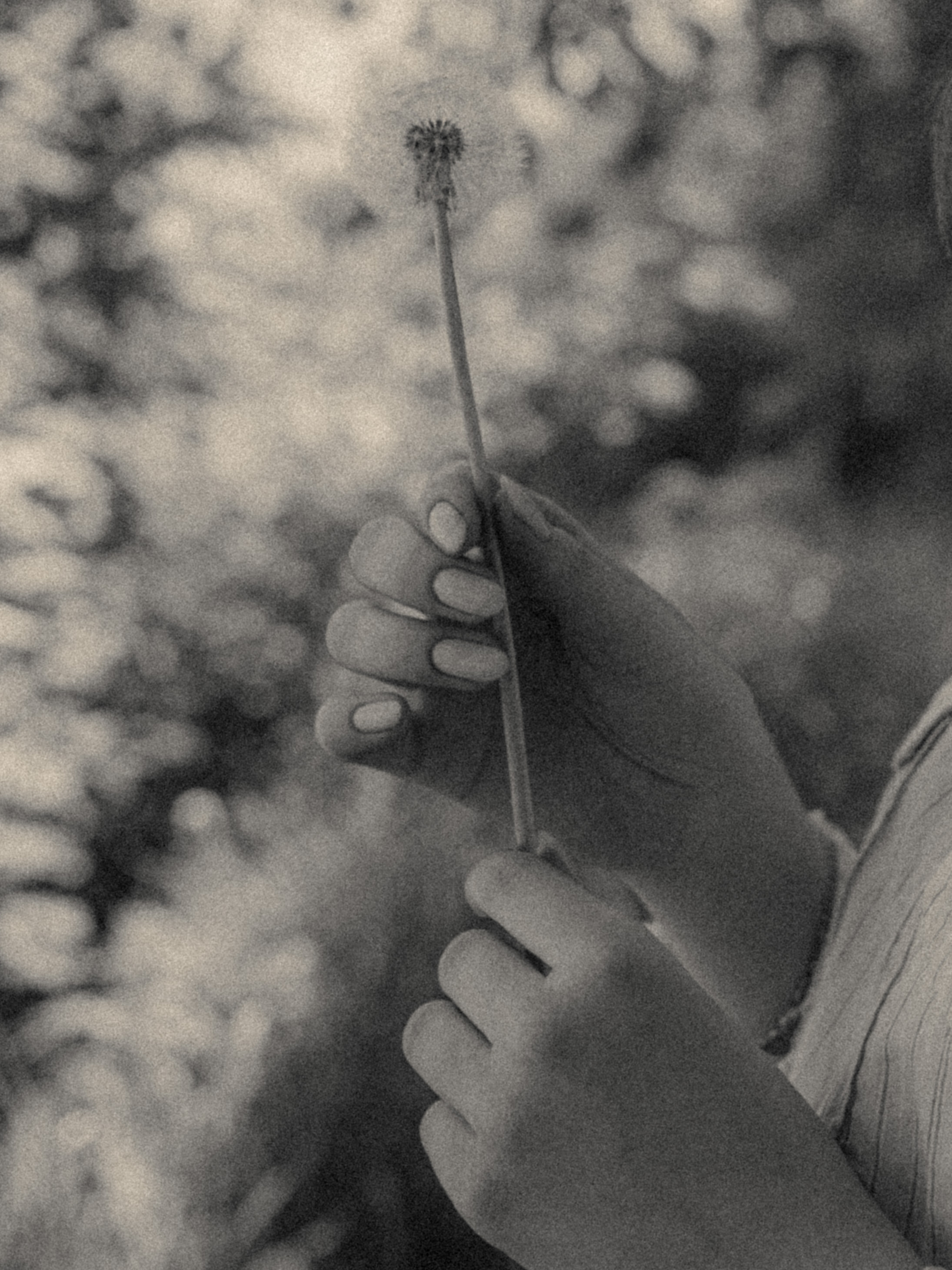 Julie&Andrew. Фотограф города Уральск Ольга Василец