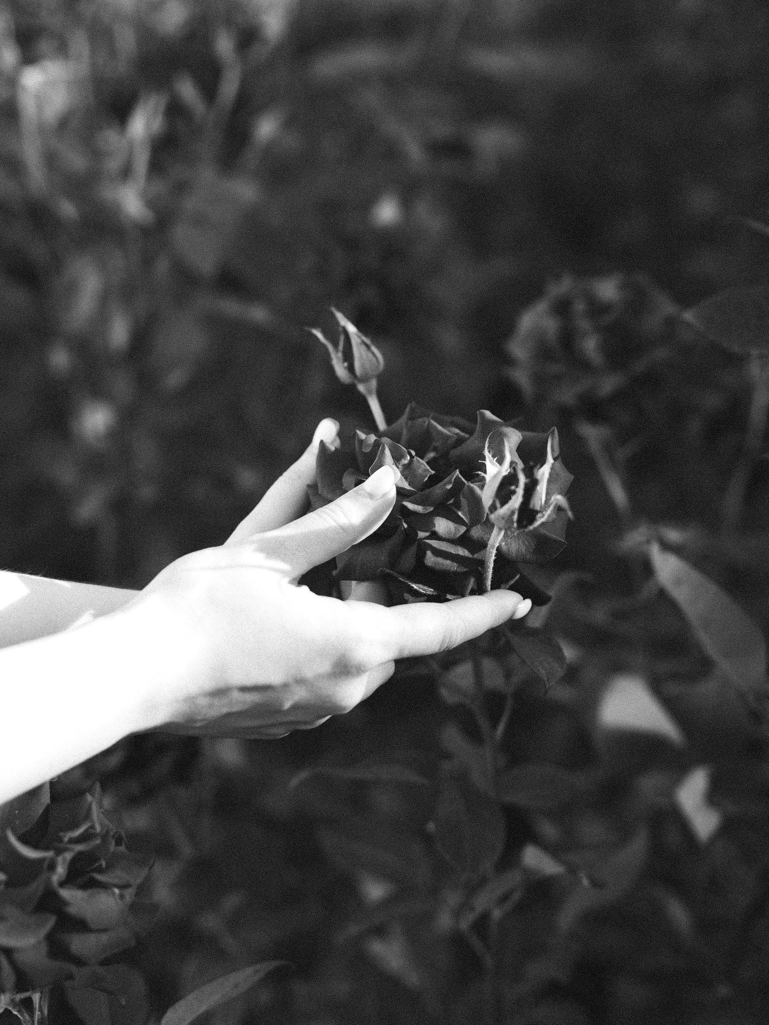 Ira. Фотограф города Уральск Ольга Василец