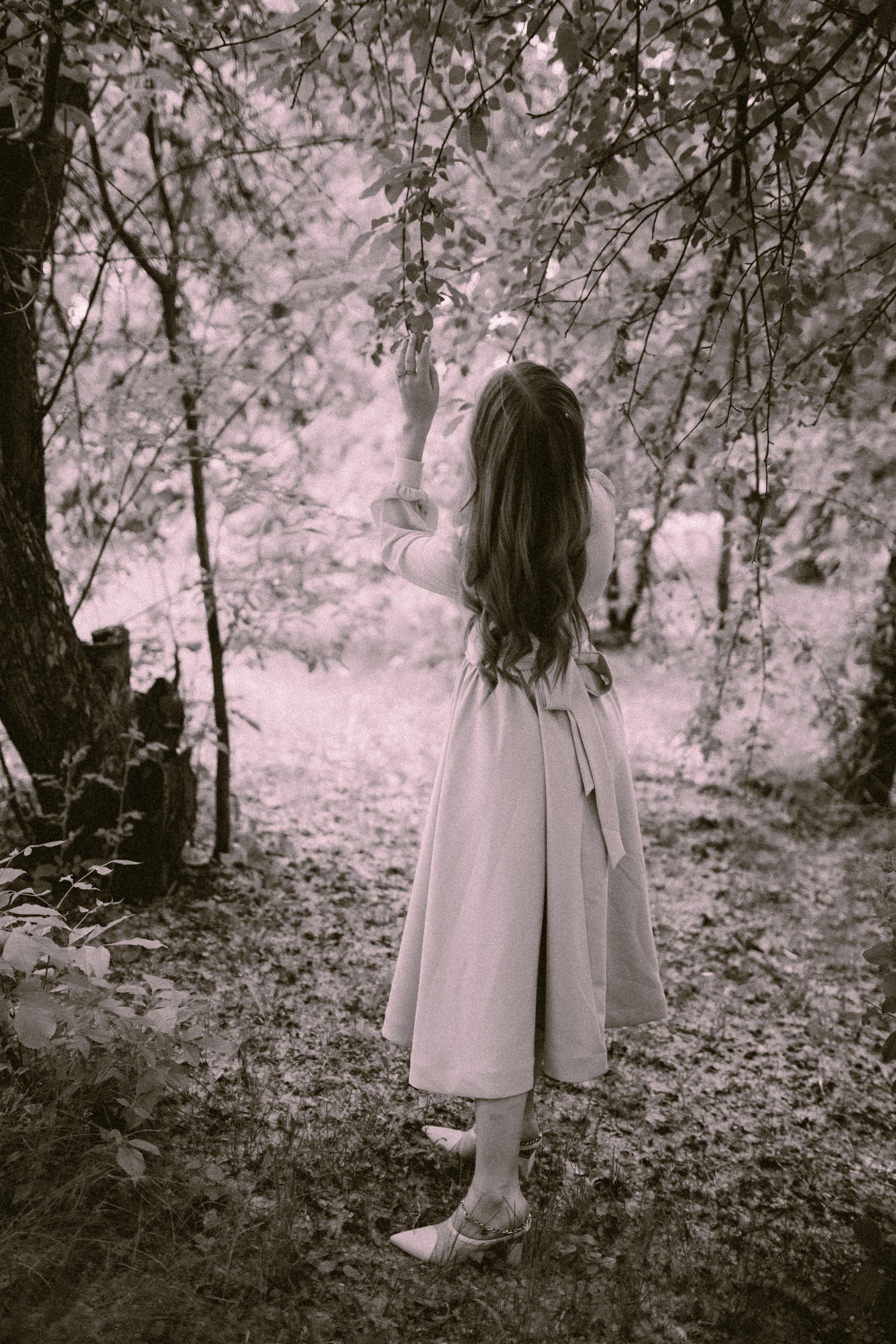 Elizabeth. Фотограф города Уральск Ольга Василец