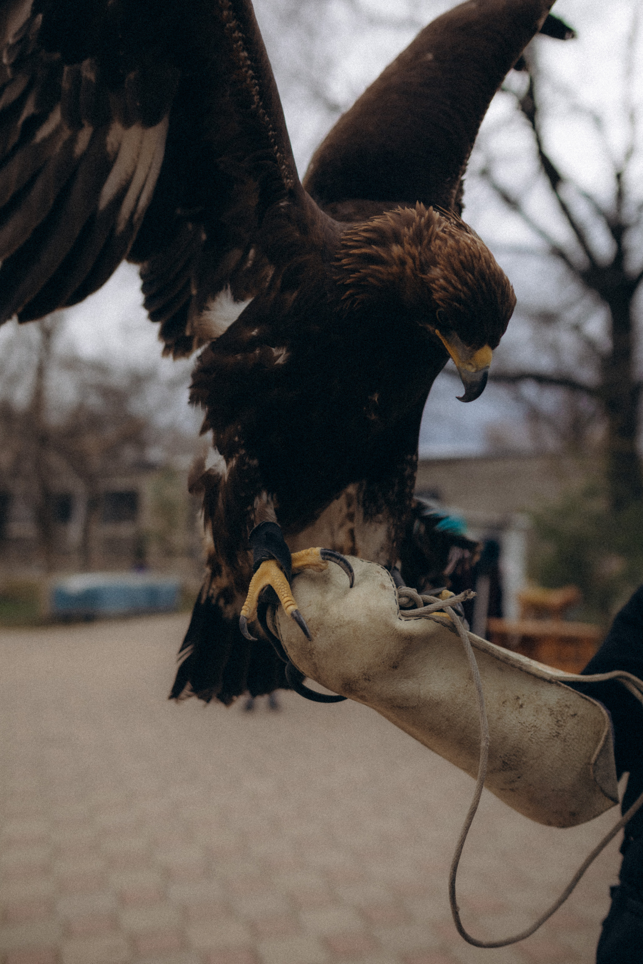 Olya&Raul. Фотограф города Уральск Ольга Василец