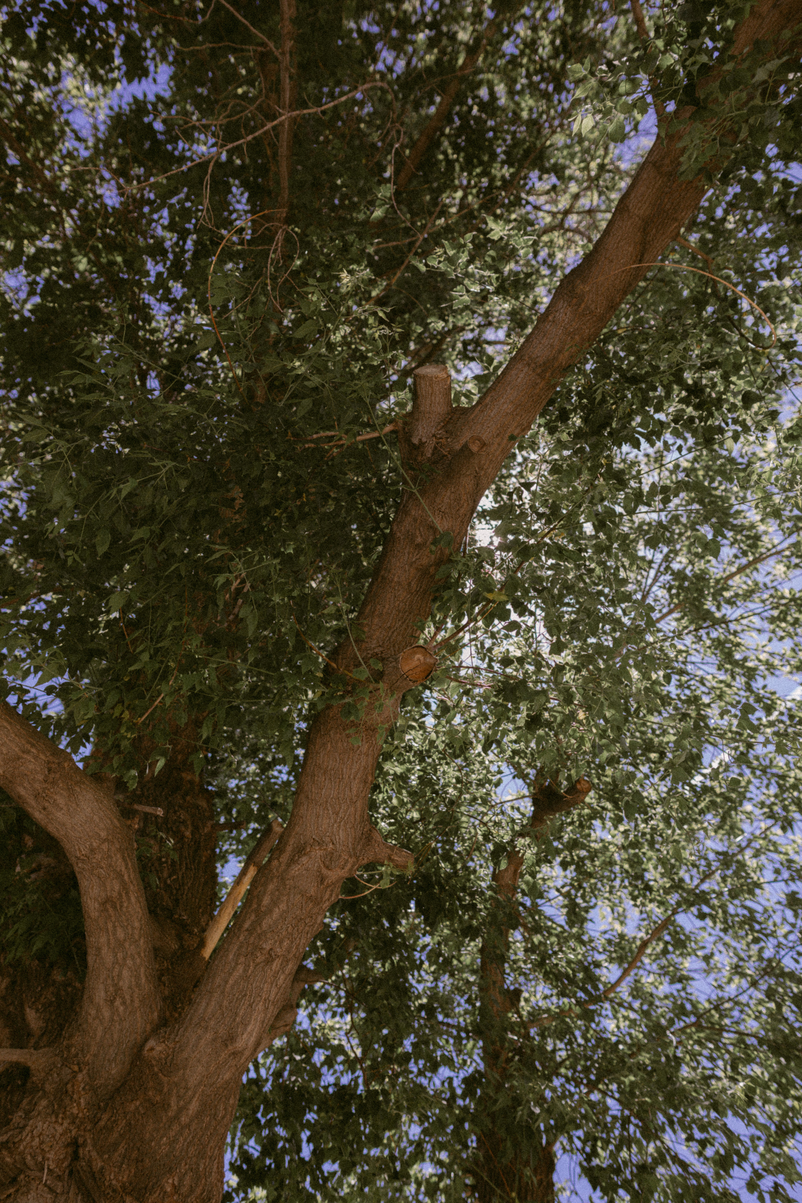 Julie&Andrew. Фотограф города Уральск Ольга Василец