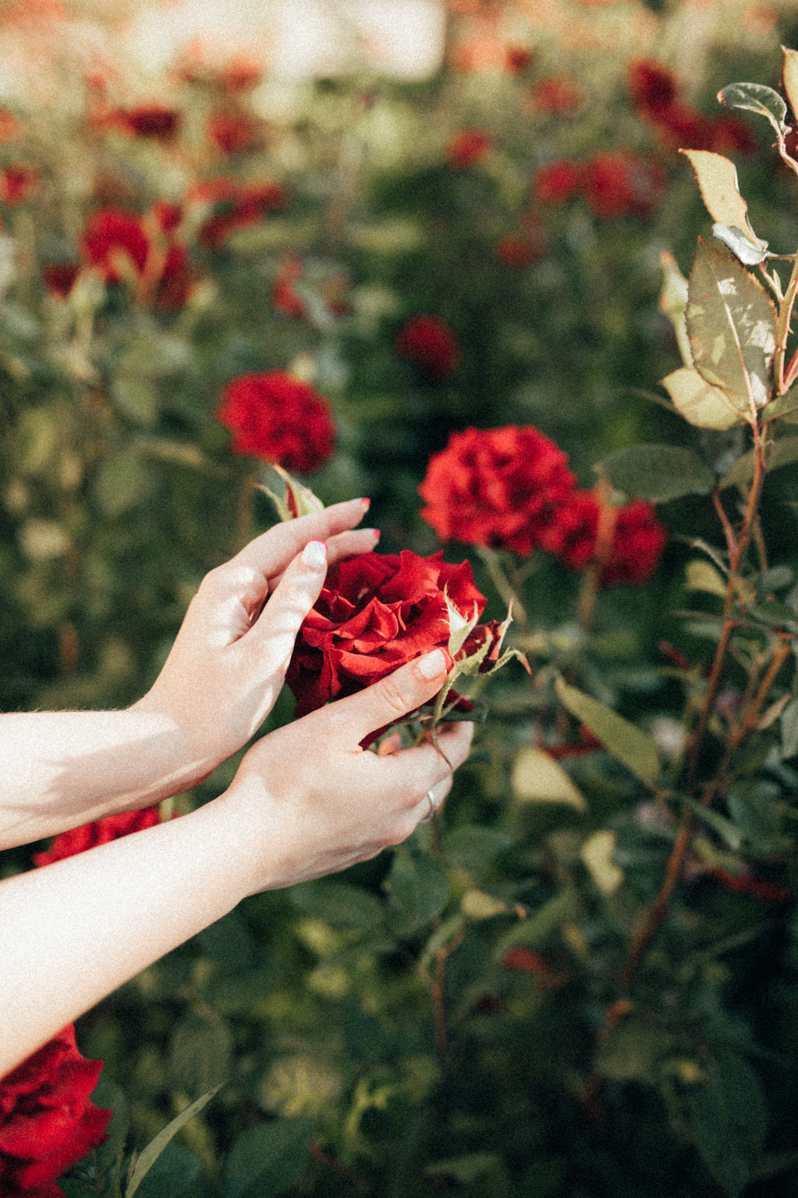 Ira. Фотограф города Уральск Ольга Василец