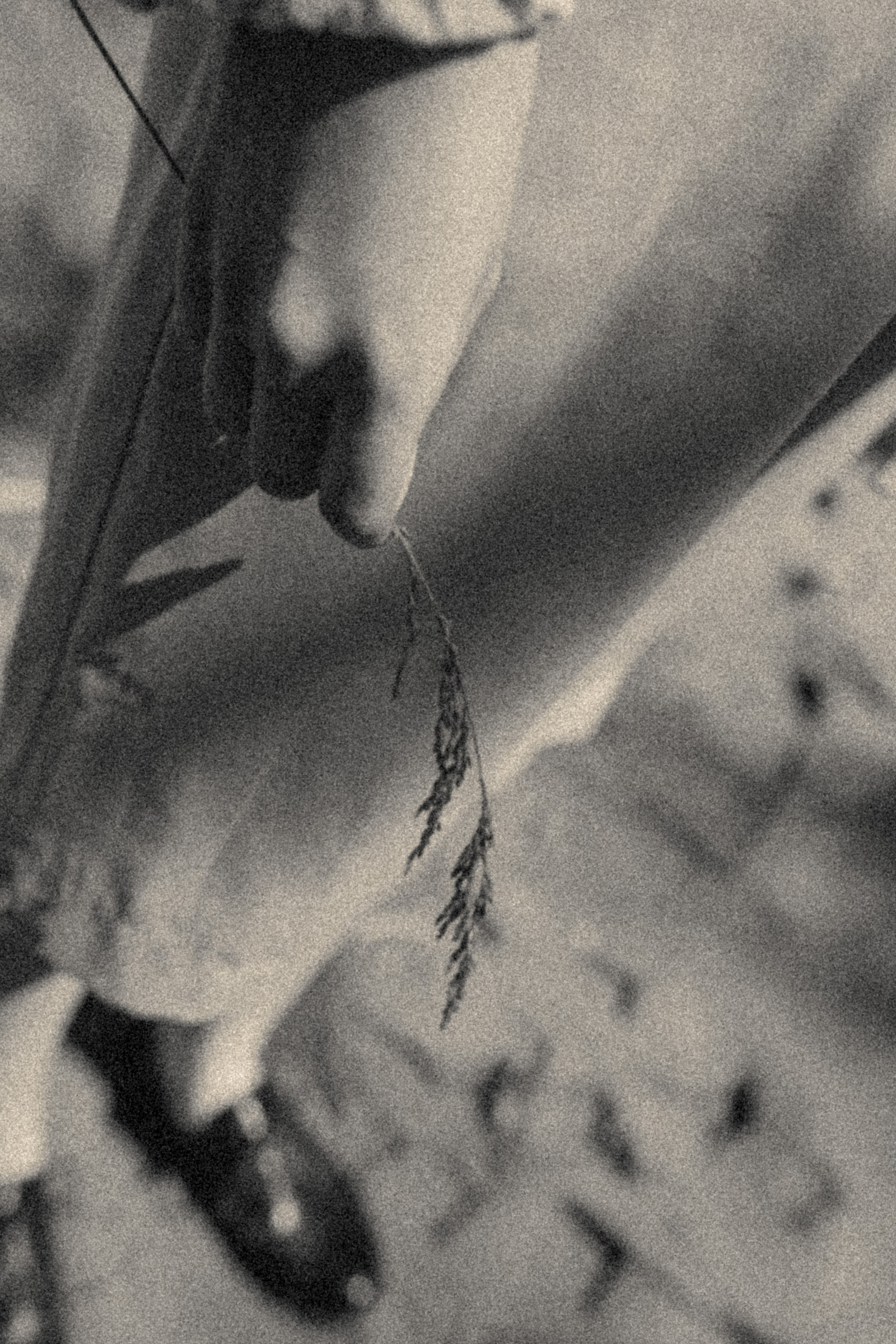 Julie&Andrew. Фотограф города Уральск Ольга Василец