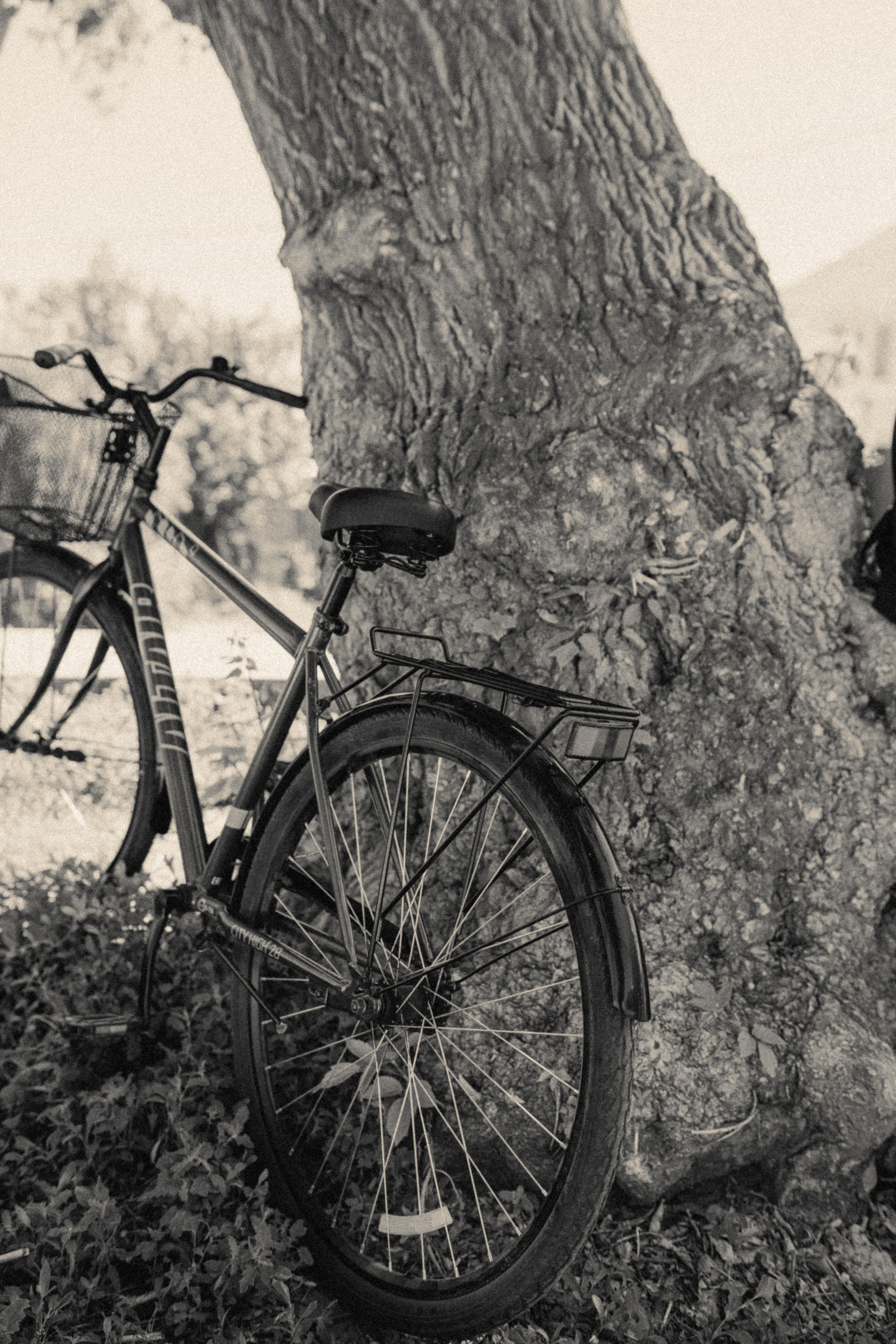 Julie&Andrew. Фотограф города Уральск Ольга Василец