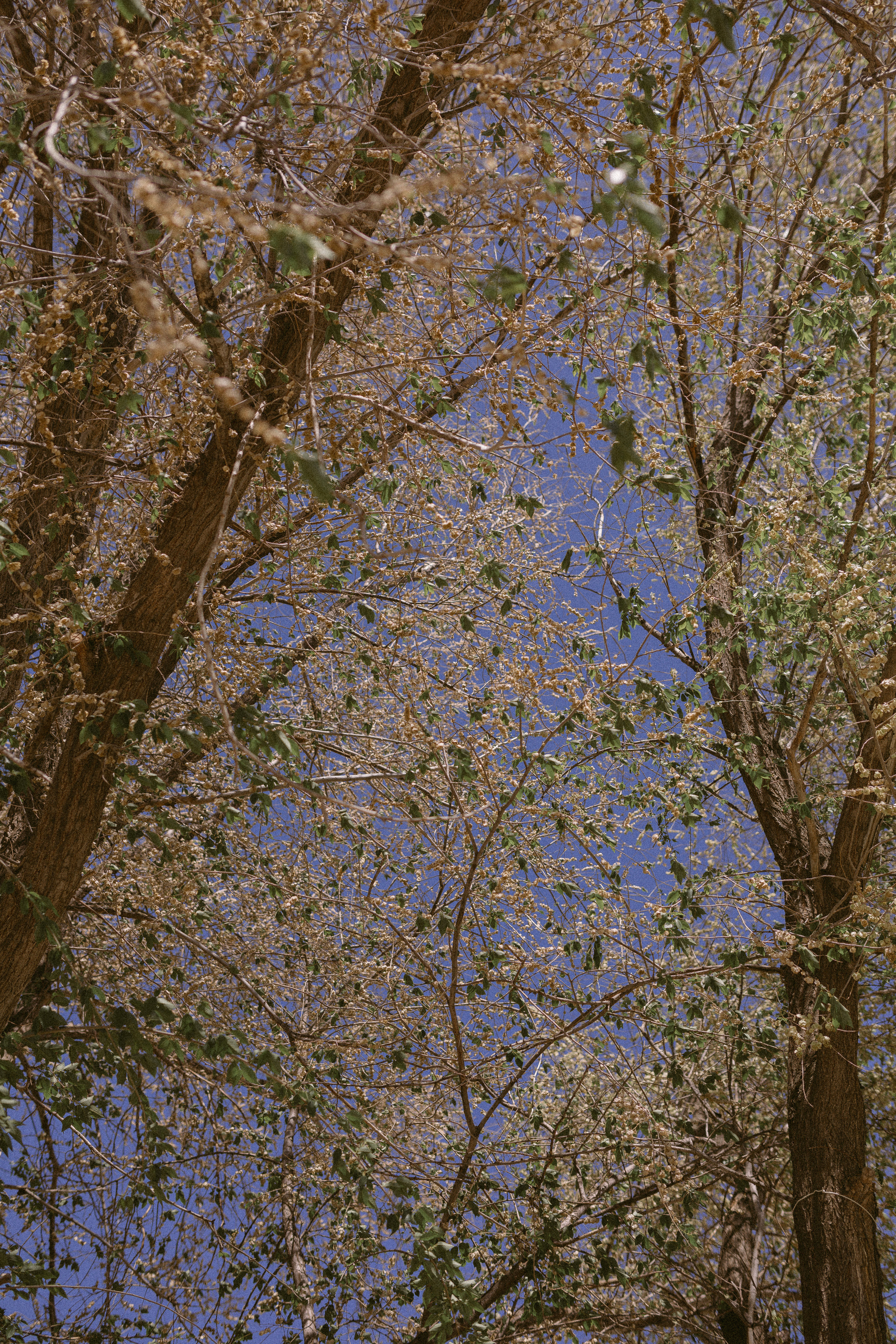 Julie&Andrew. Фотограф города Уральск Ольга Василец