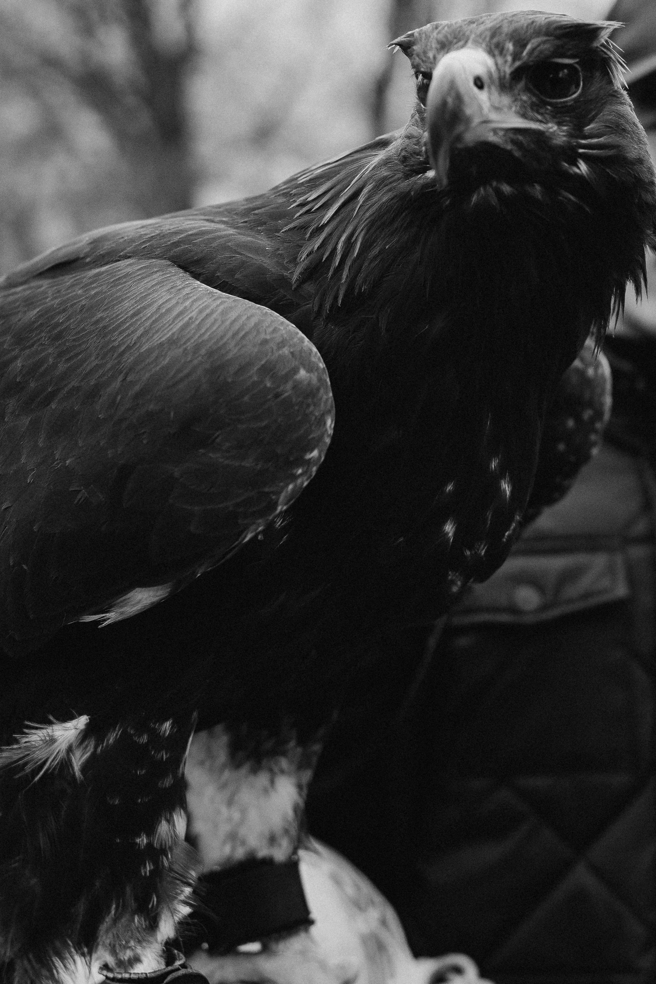 Olya&Raul. Фотограф города Уральск Ольга Василец