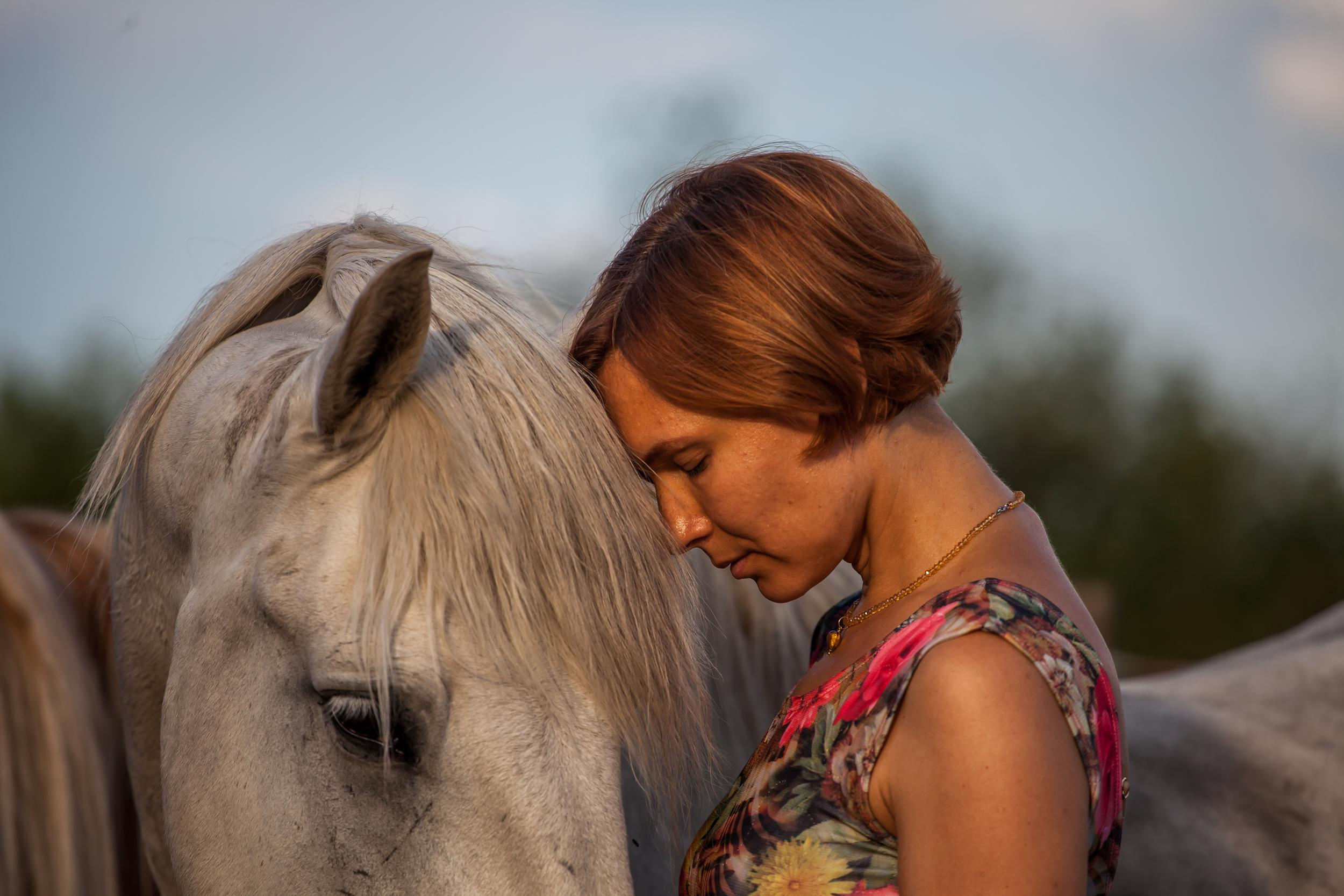 Свободная ипповенция. «Свет внутри»