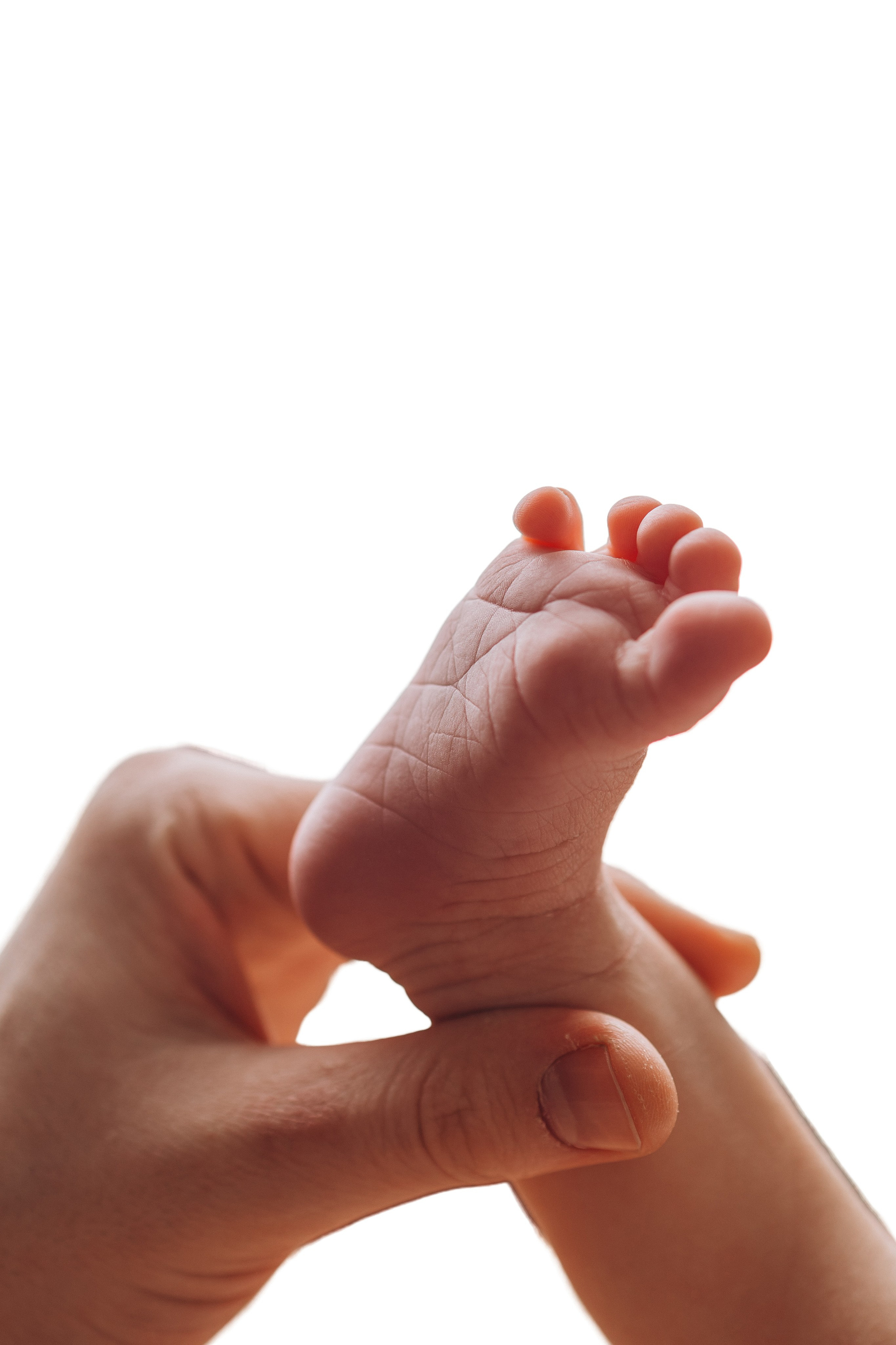Всеволод 10 дней. Фотограф новорождённых Newborn Москва