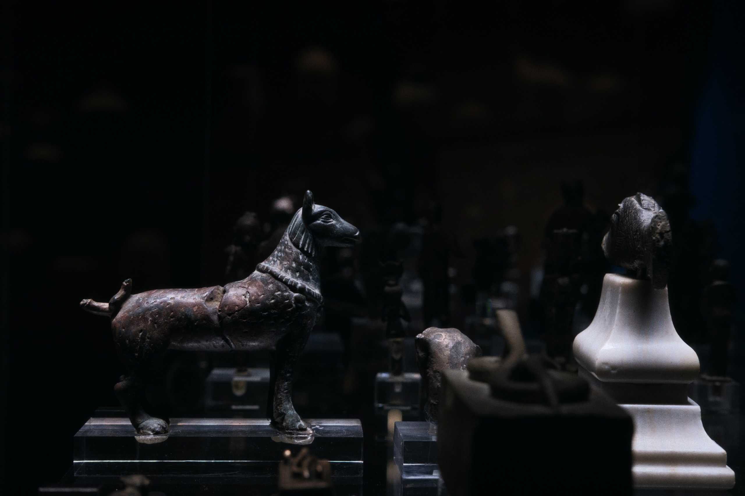 Greco-Roman Museum / Alexandria, Egypt AW25. Фотограф Юрин Евгений