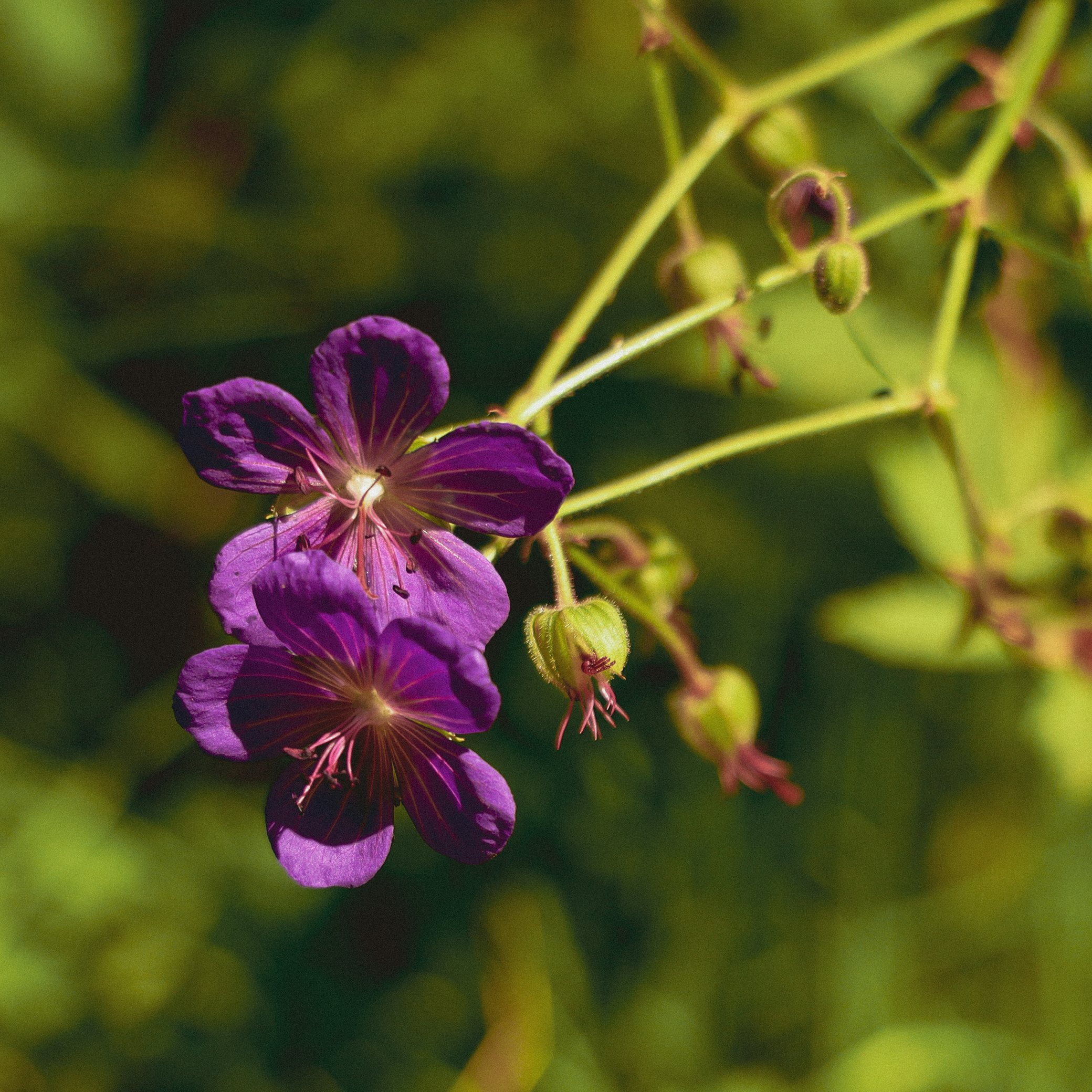 Summer hike. Фотограф/дизайнер в Екатеринбурге Хитрый Дмитрий