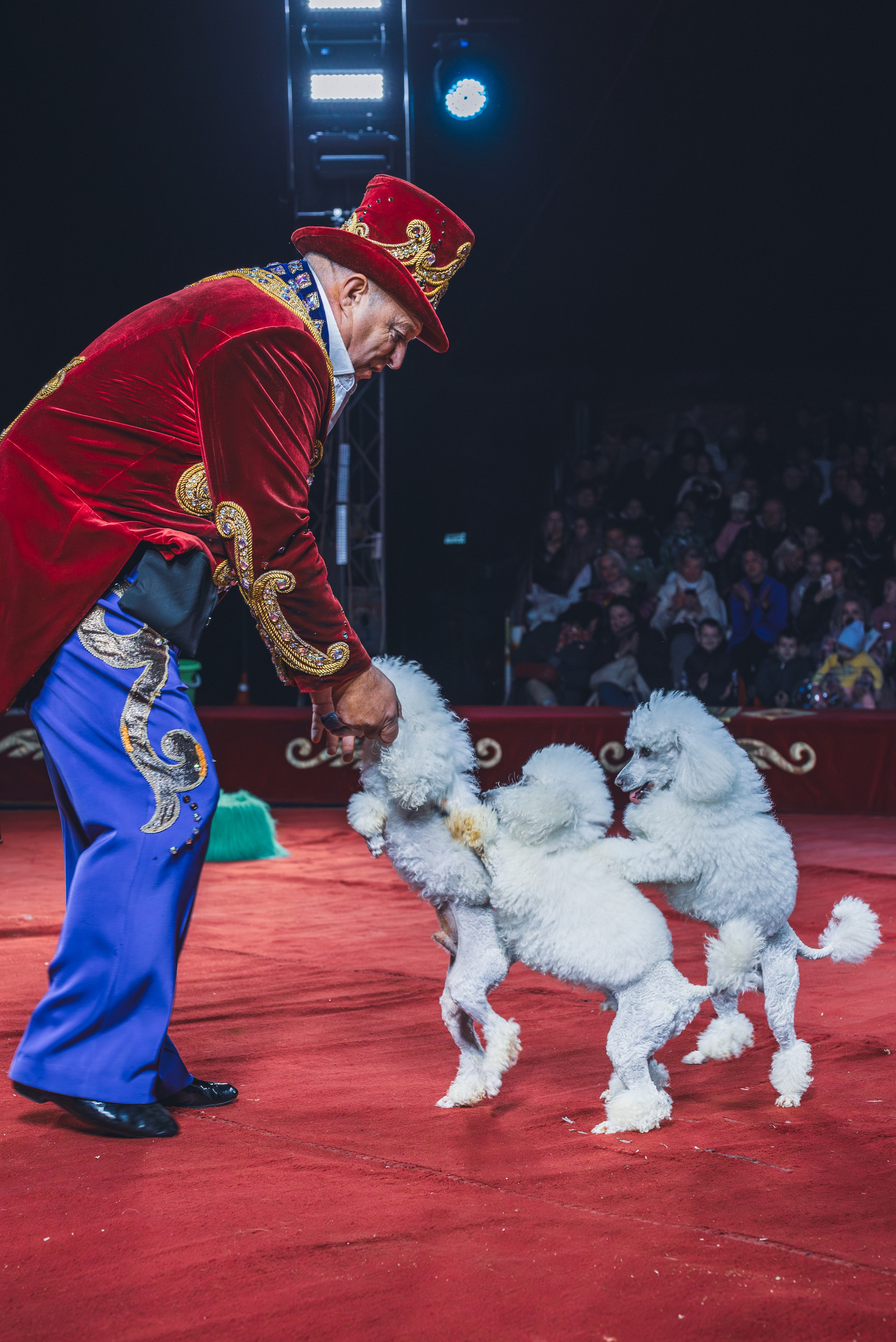 Репортажная съемка. Фотограф Вероника Чермных