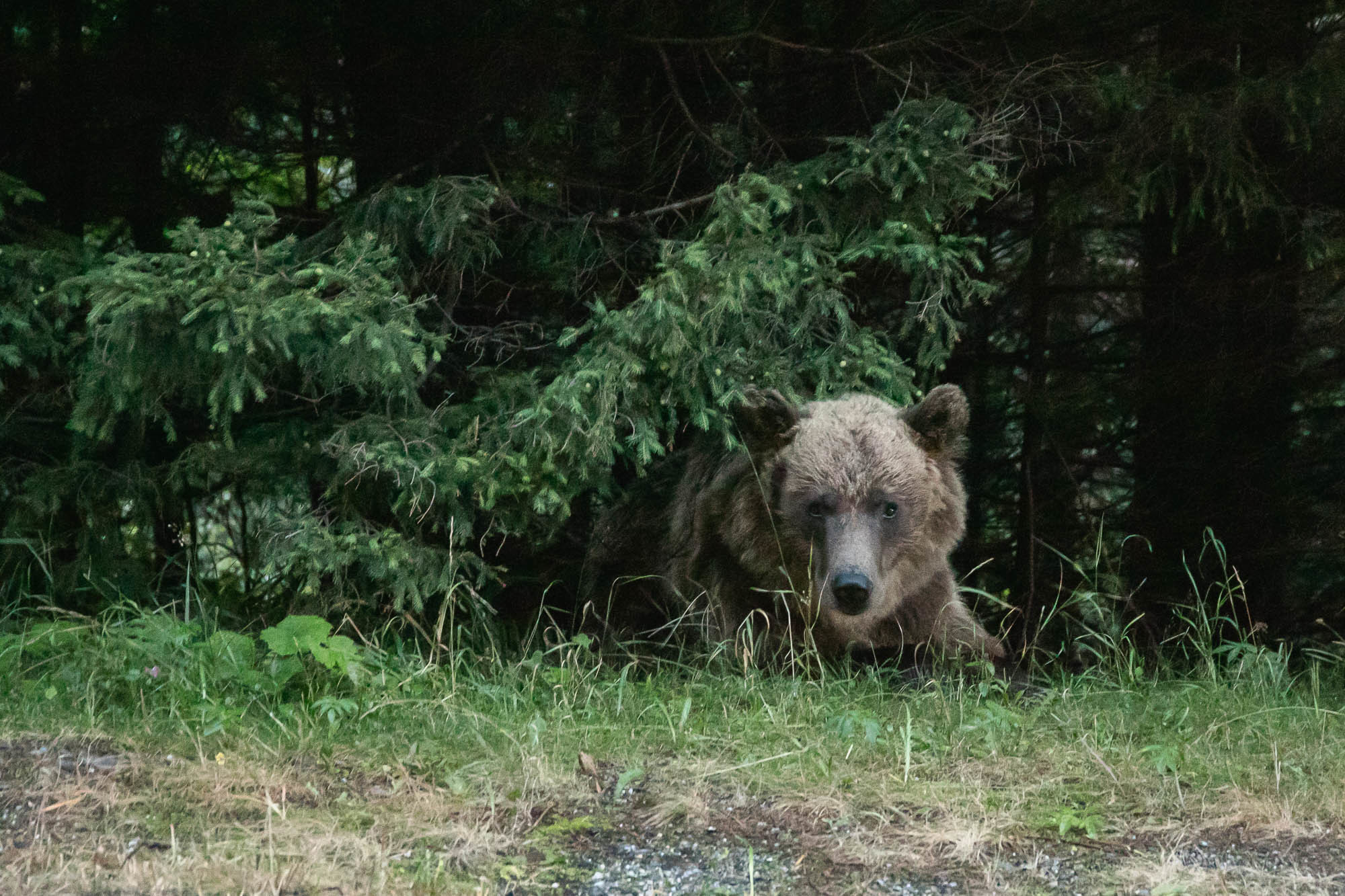 Путешествие в Румынию | Часть 2/4. Фотограф Дмитрий Питерский