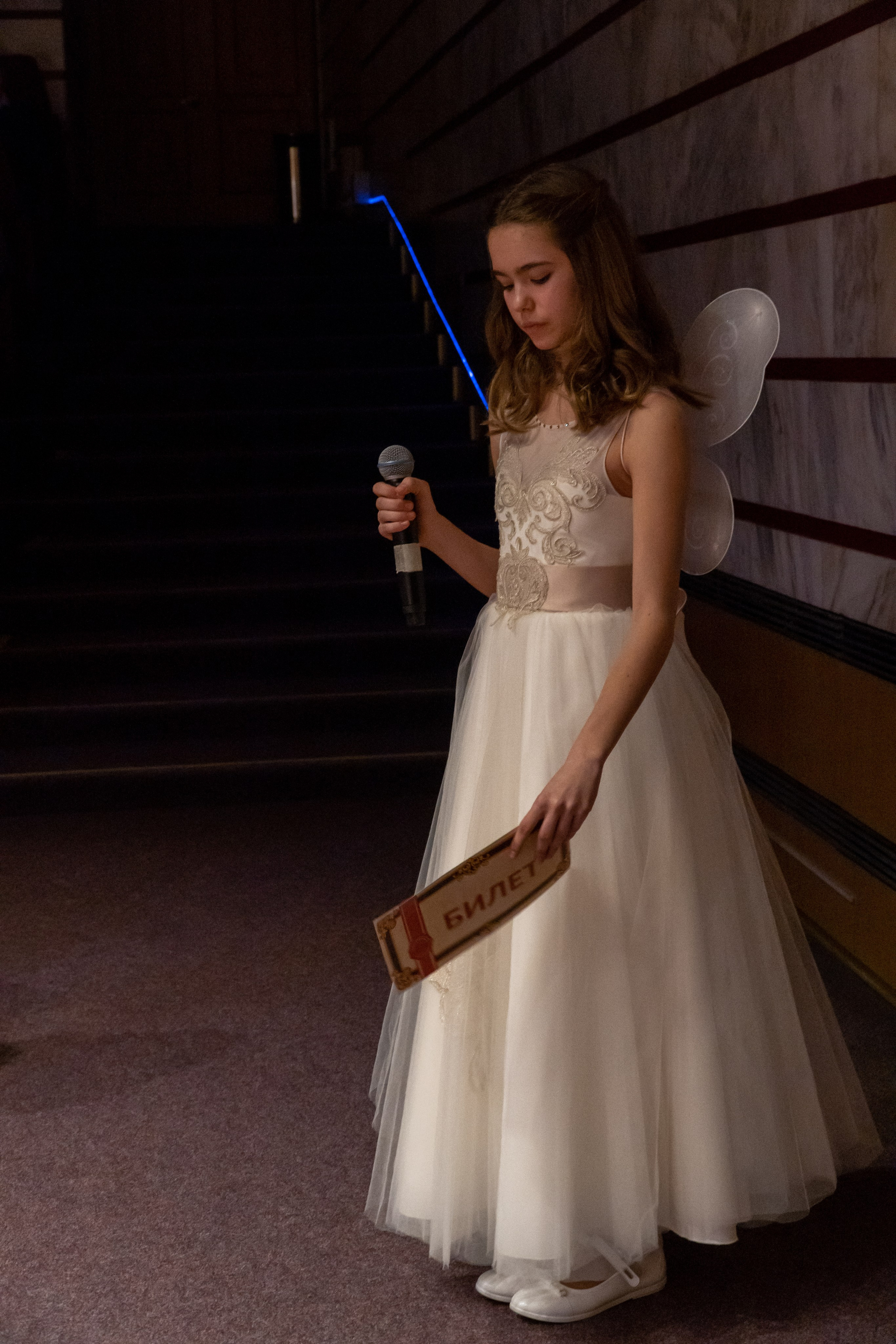 Съёмка концерта Домисольки с оркестром. «Студия DRONAVT`s» — видеосъёмка и фотография г. Москва