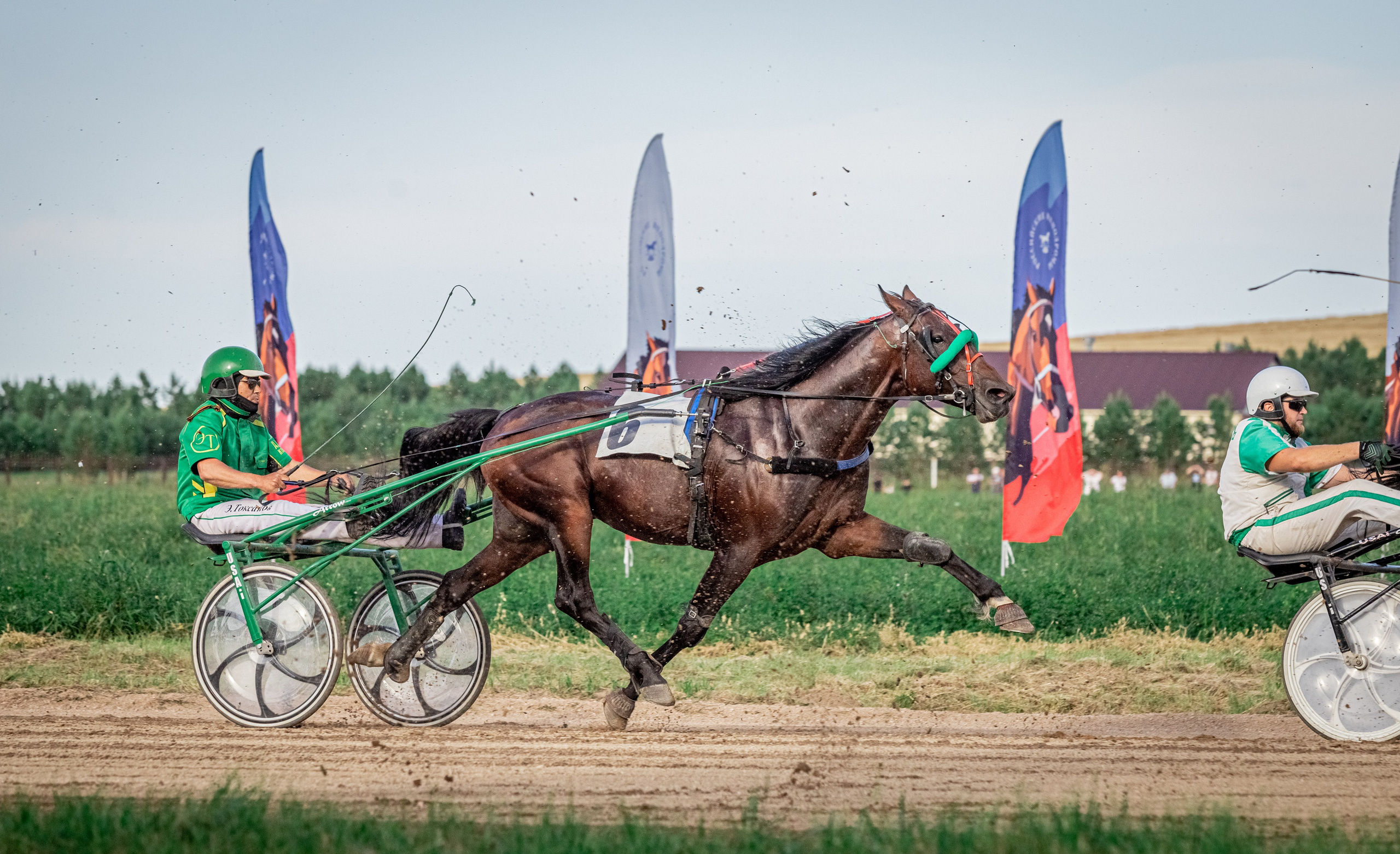 Рысистые бега. Главная