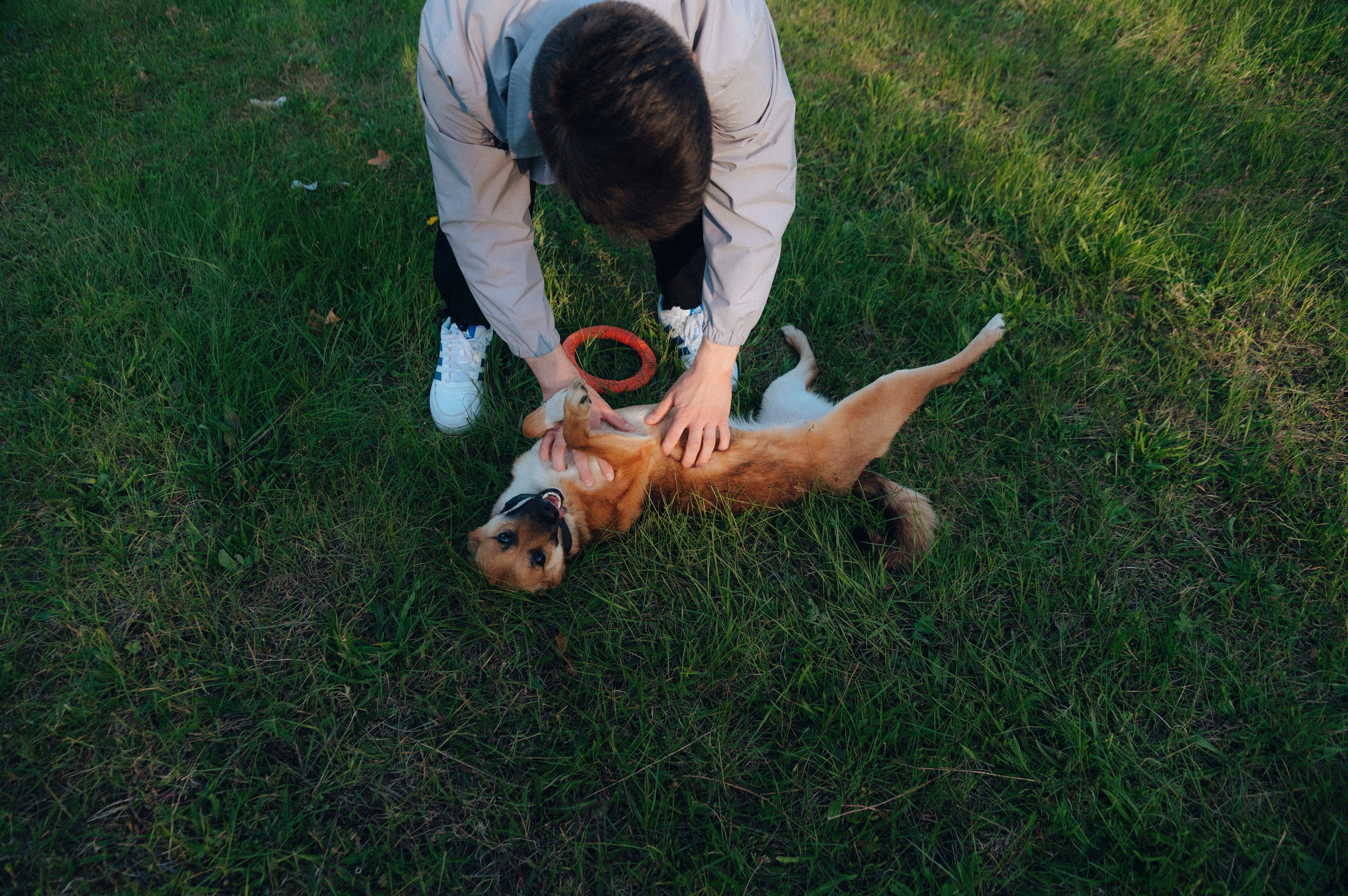 Влад и Алёна. Детский и семейный фотограф Катерина Мишина