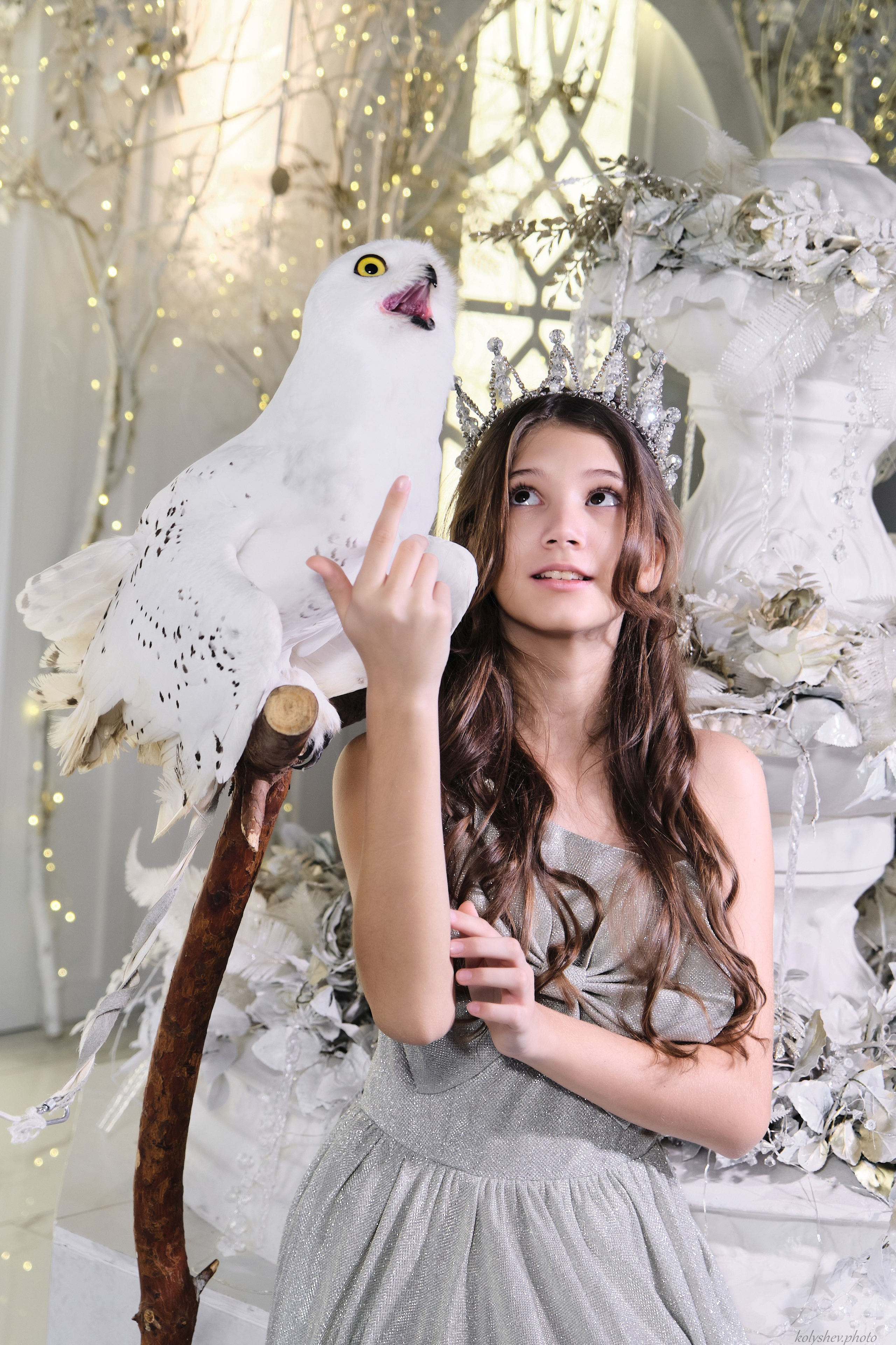 фотограф с совой в Раменском Колышева Виктория