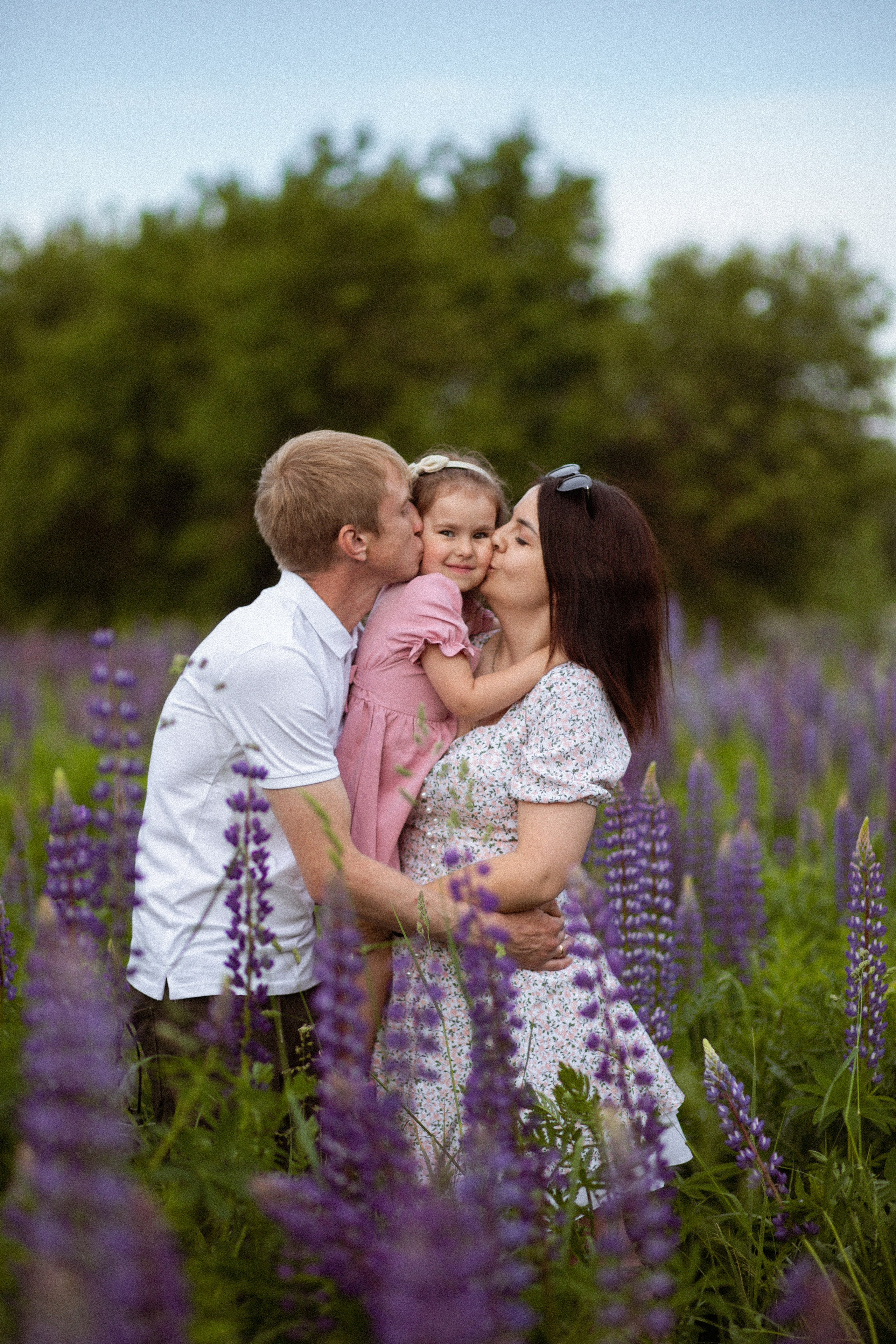 Июньские люпины. Фотограф в Москве/Санкт-Петербурге