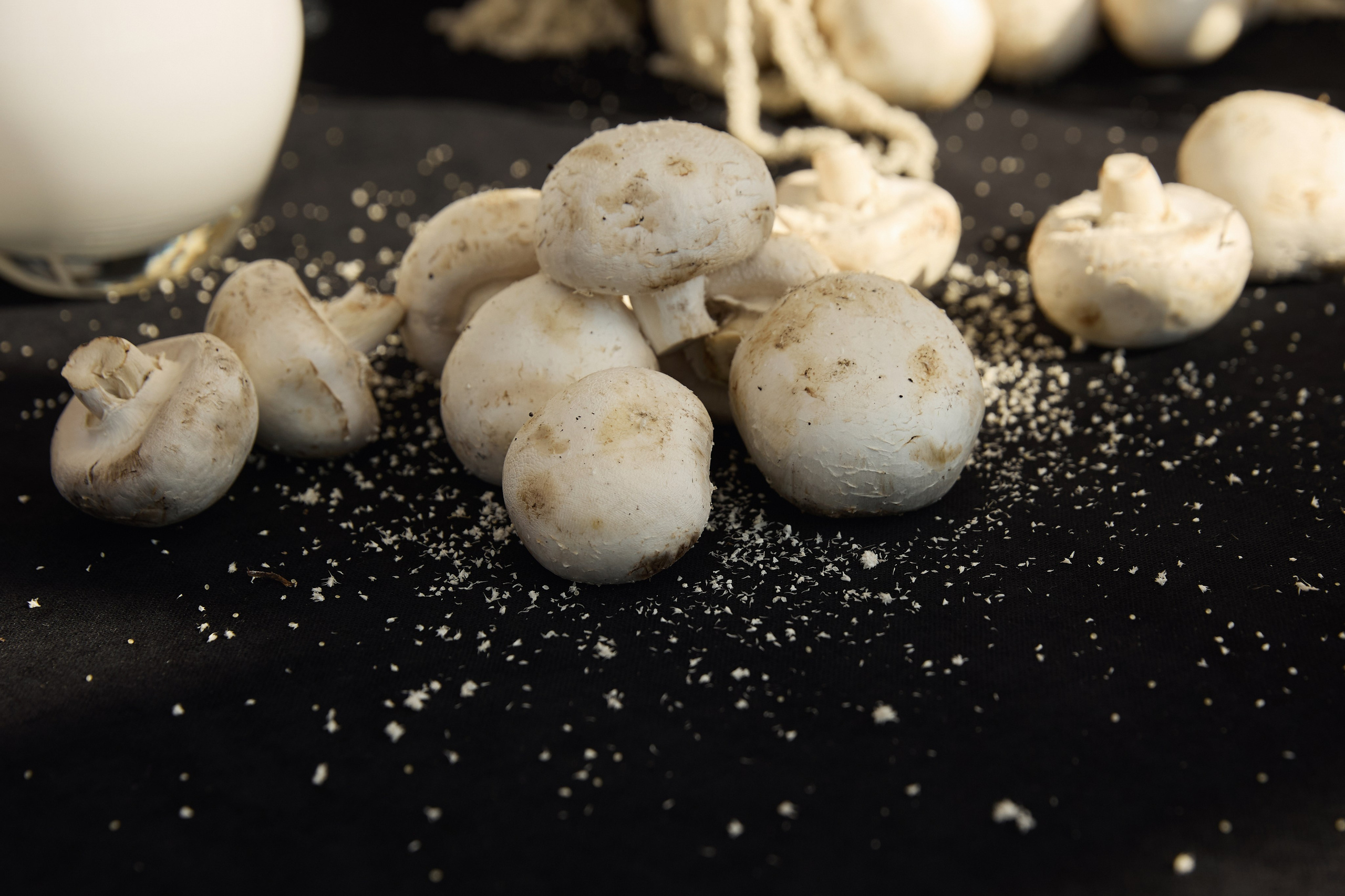 Полина и Егор