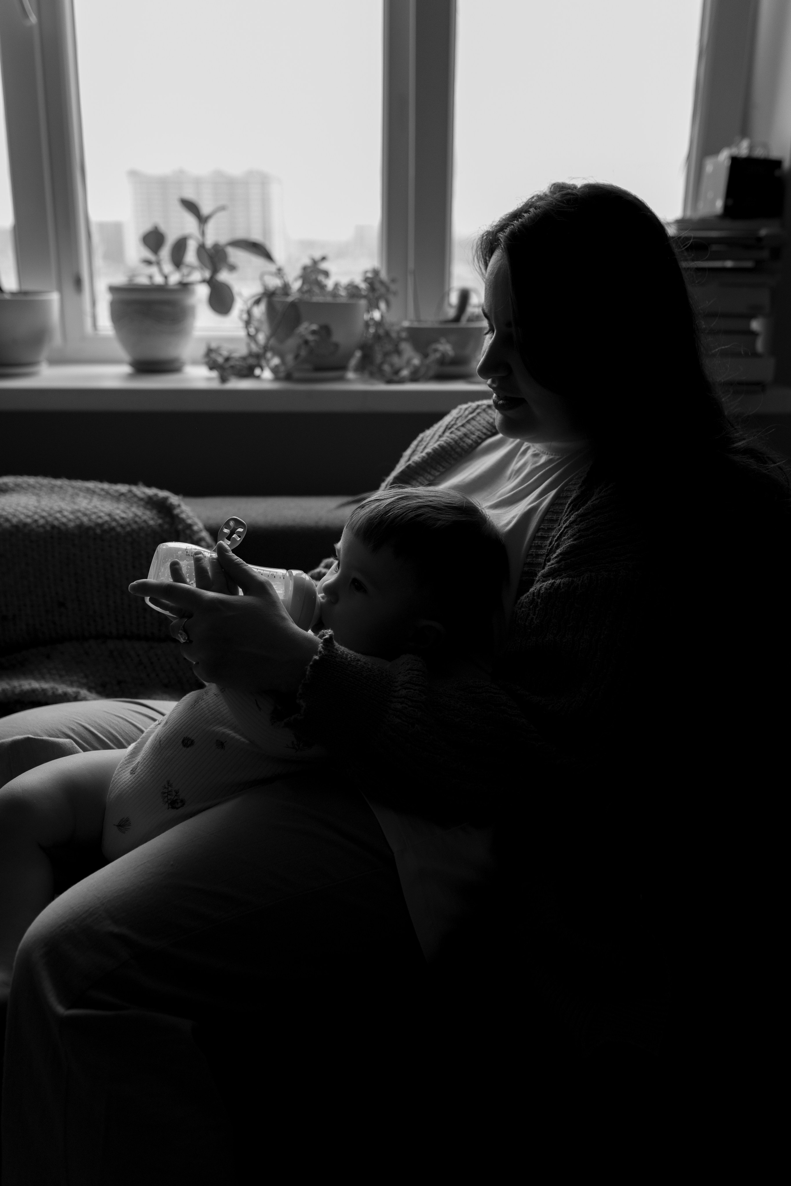 Домашняя история. Meryfotoidea