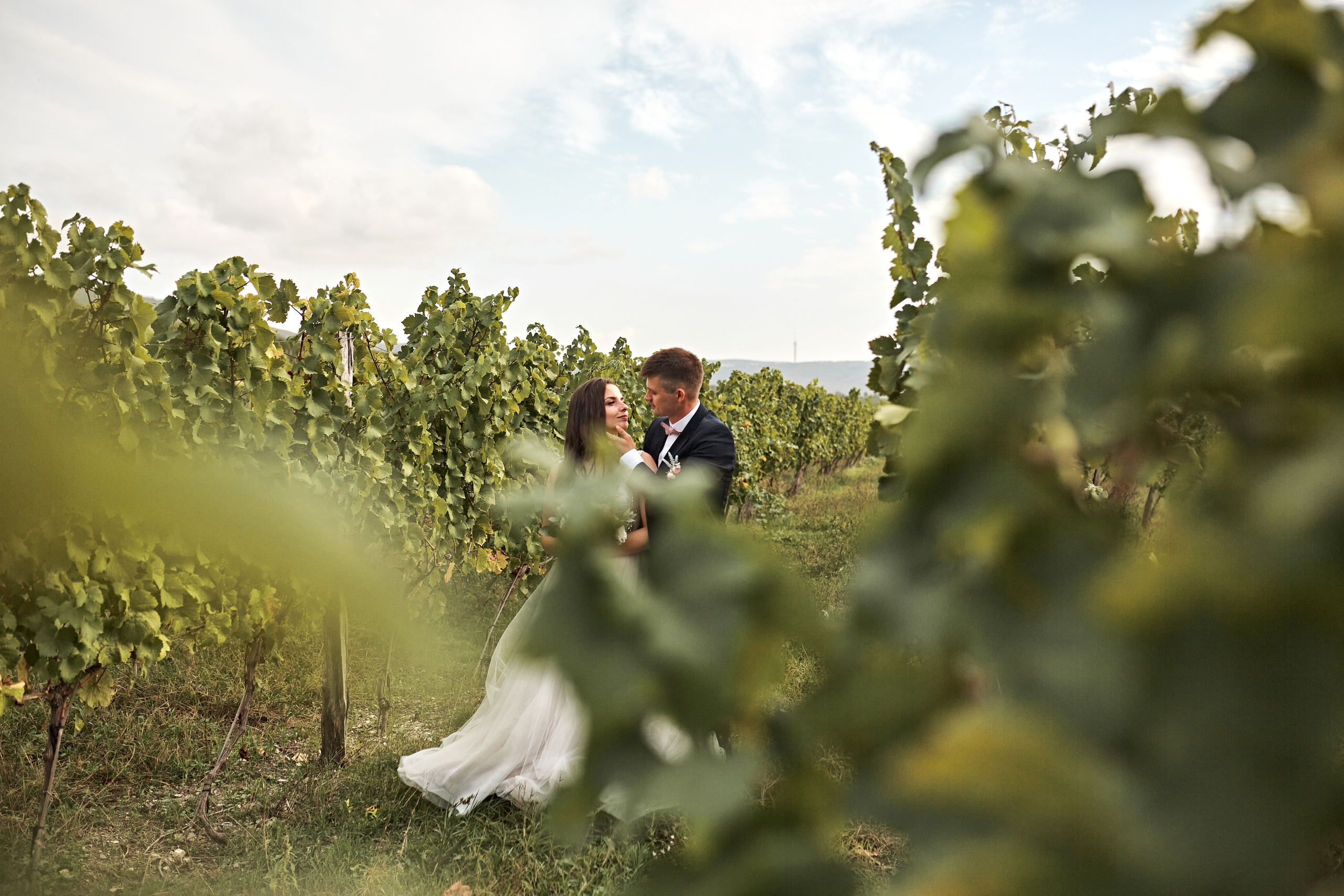 Свадебный фотограф в Краснодаре