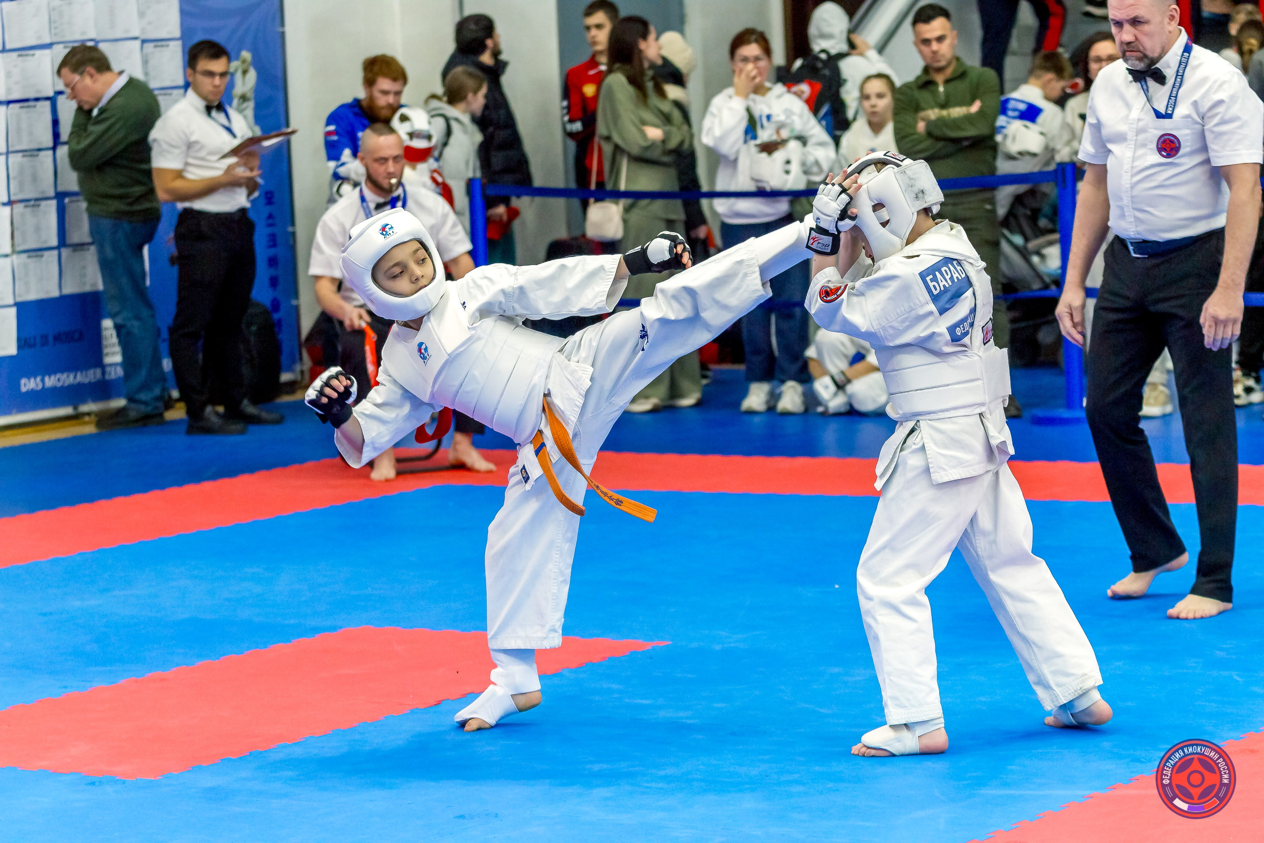 Международный турнир по киокушин «Открытый кубок Seiken». Репортажная съемка в Москве и области. Анималистика