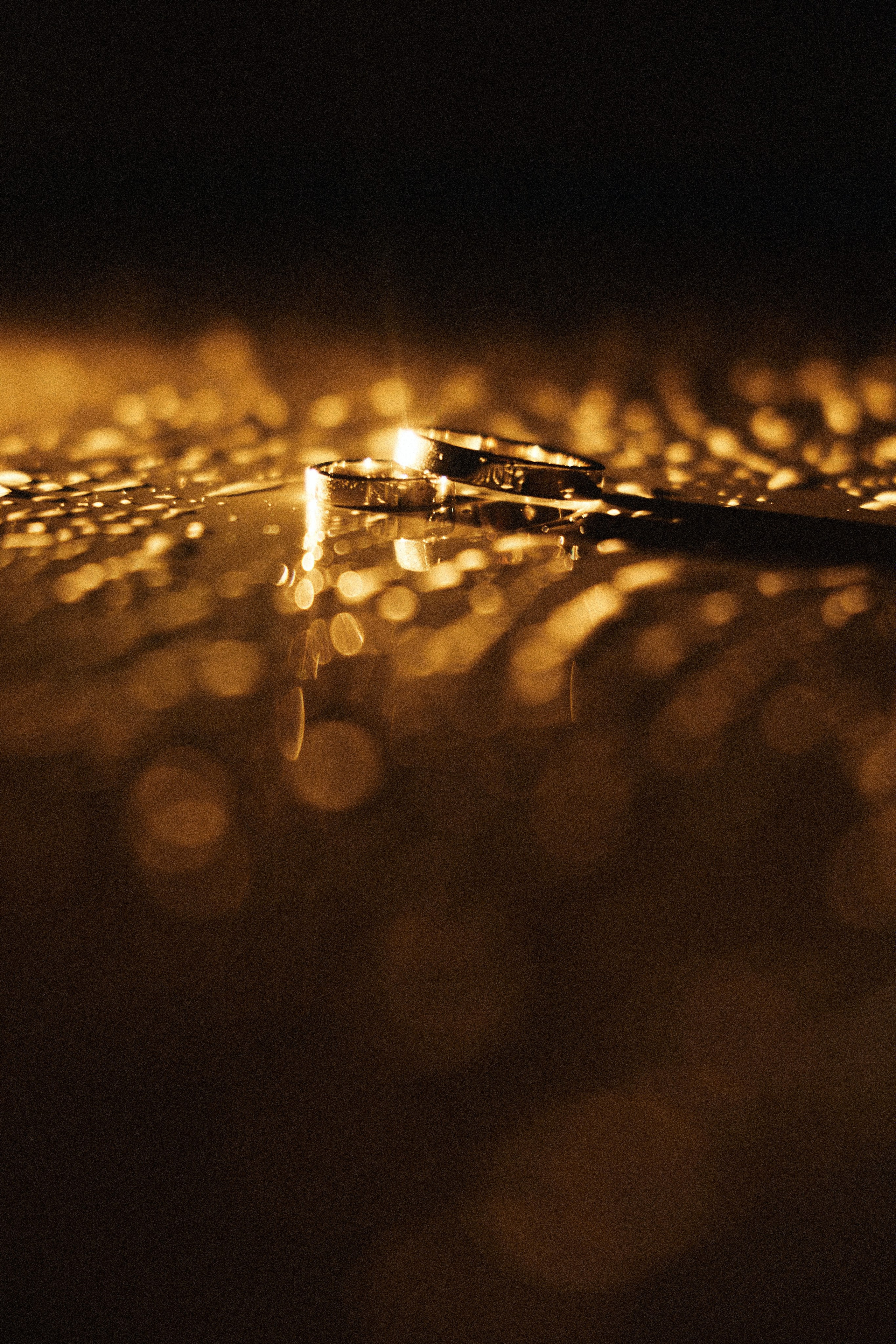 Лаура и Данияр. Свадебный фотограф Никита Гулько